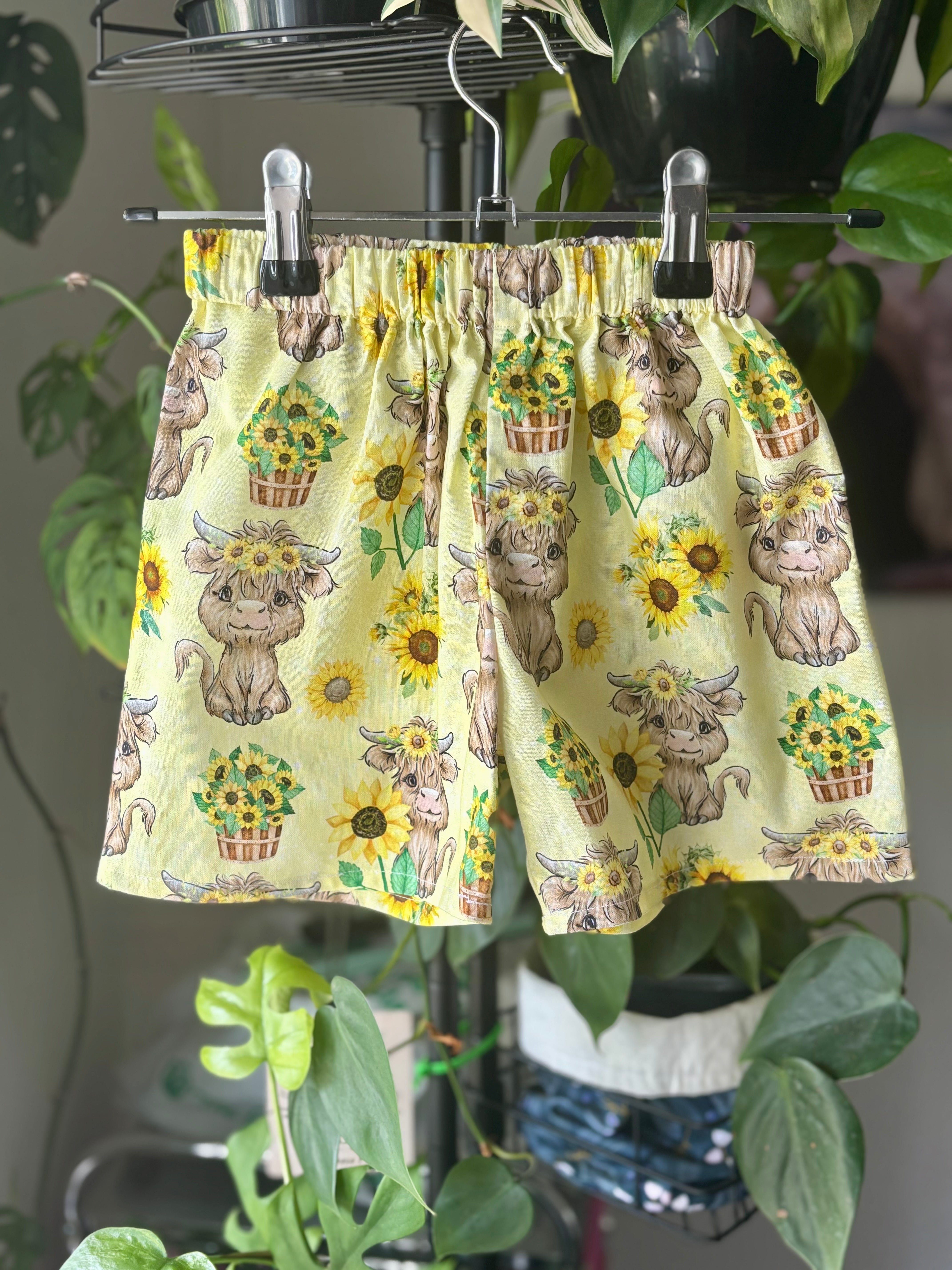 Shorts size 1 Sunflower & Highland Cows