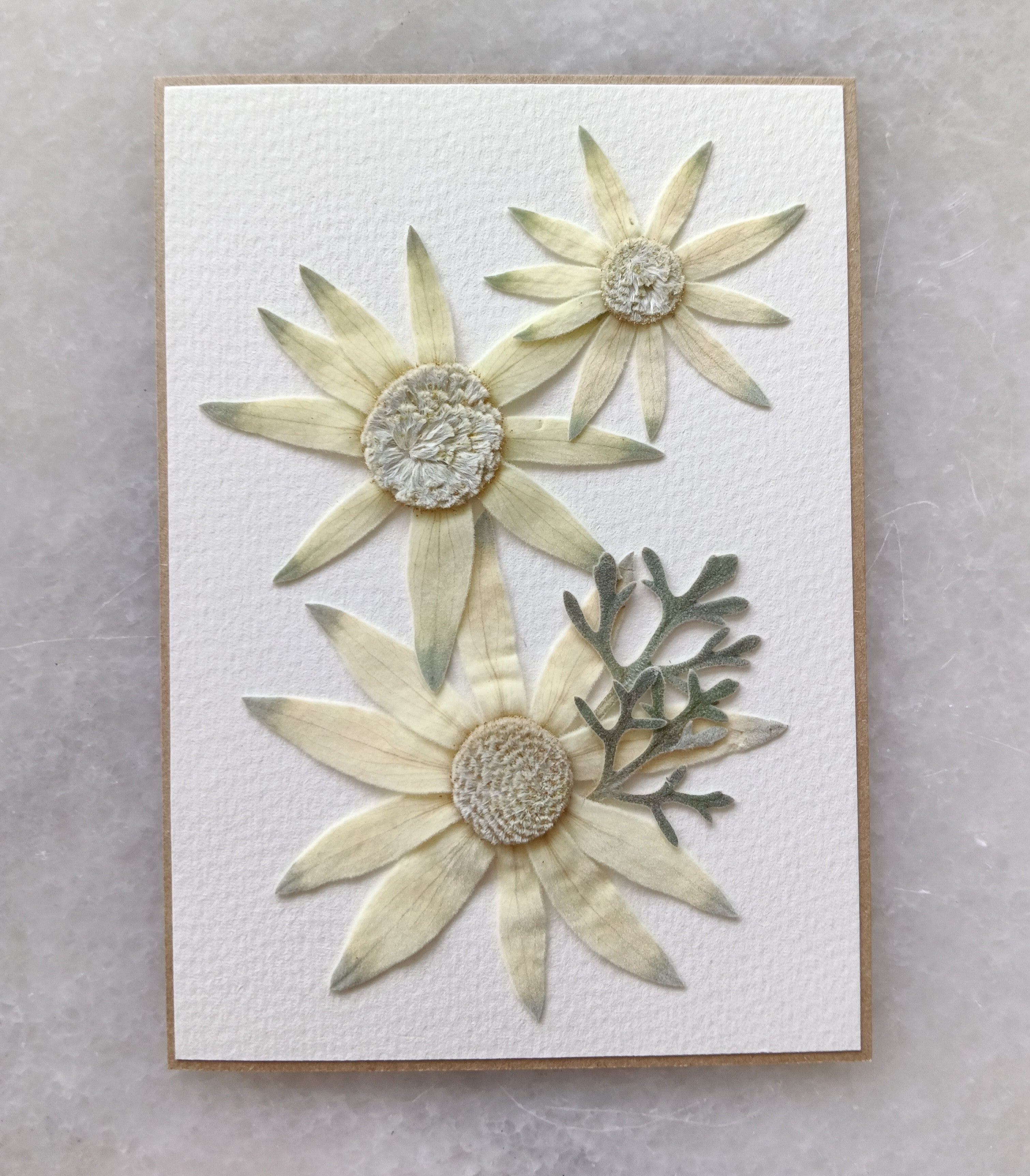 Flannel Flare | Pressed Flower Handmade Card