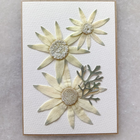 Flannel Flare | Pressed Flower Handmade Card