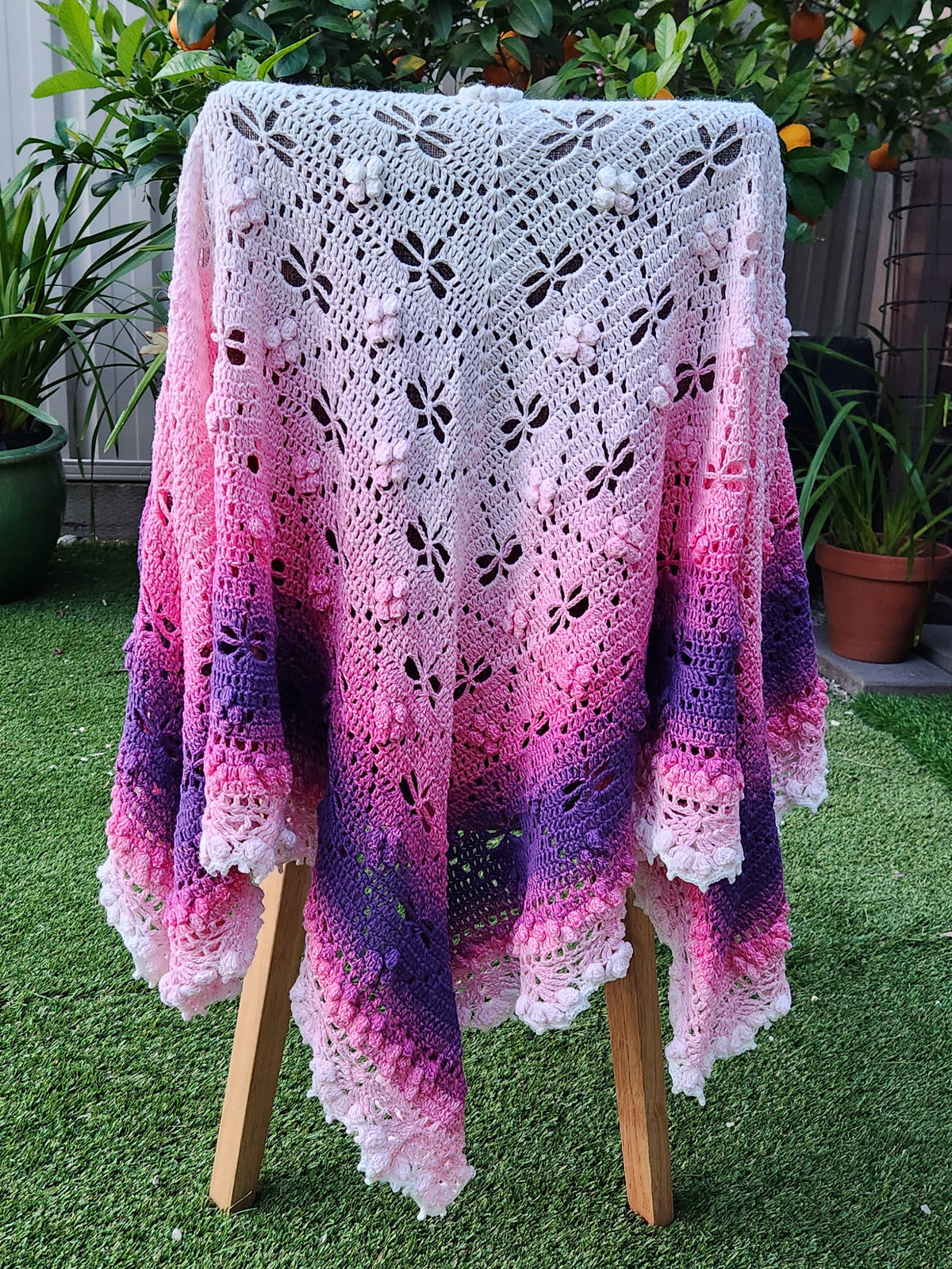 Crochet Pink Ombre Dragonfly Blanket