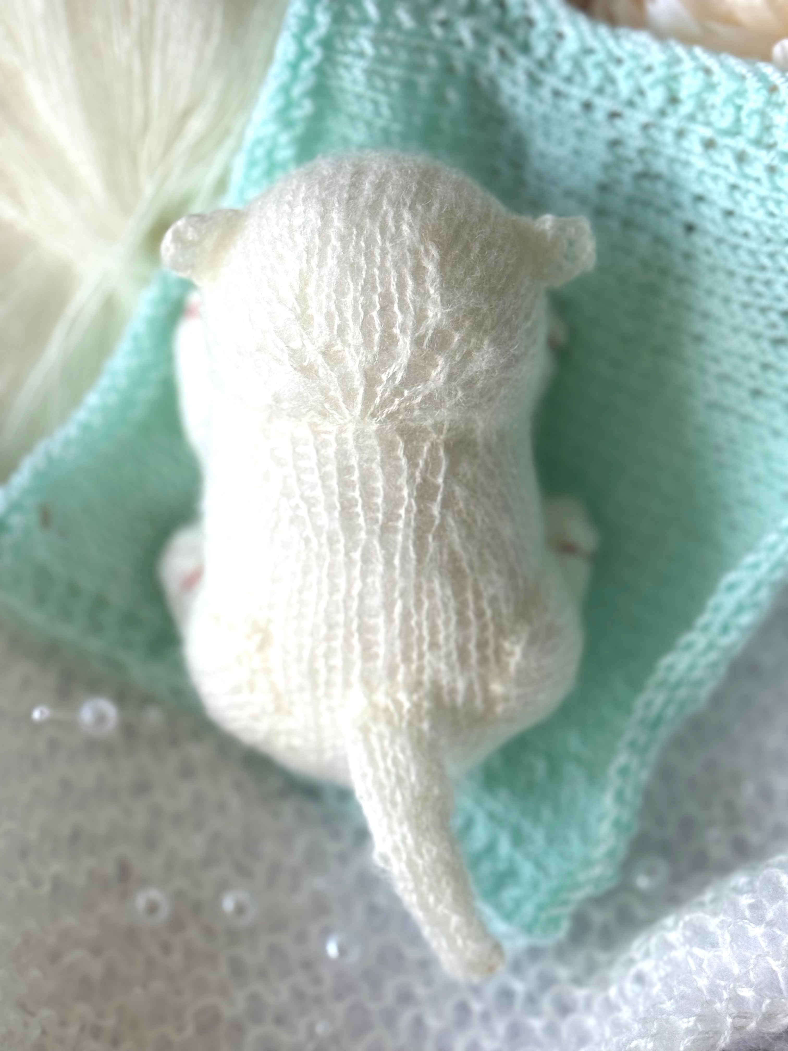 Handmade White Knitted Sleeping Kitty Toy in The Bunny Hat and Blanket