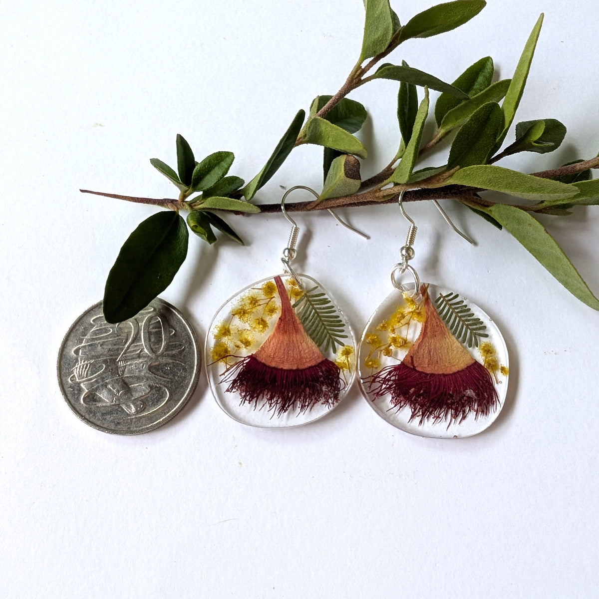 Real Australian Native Flower Resin Dangle Earrings