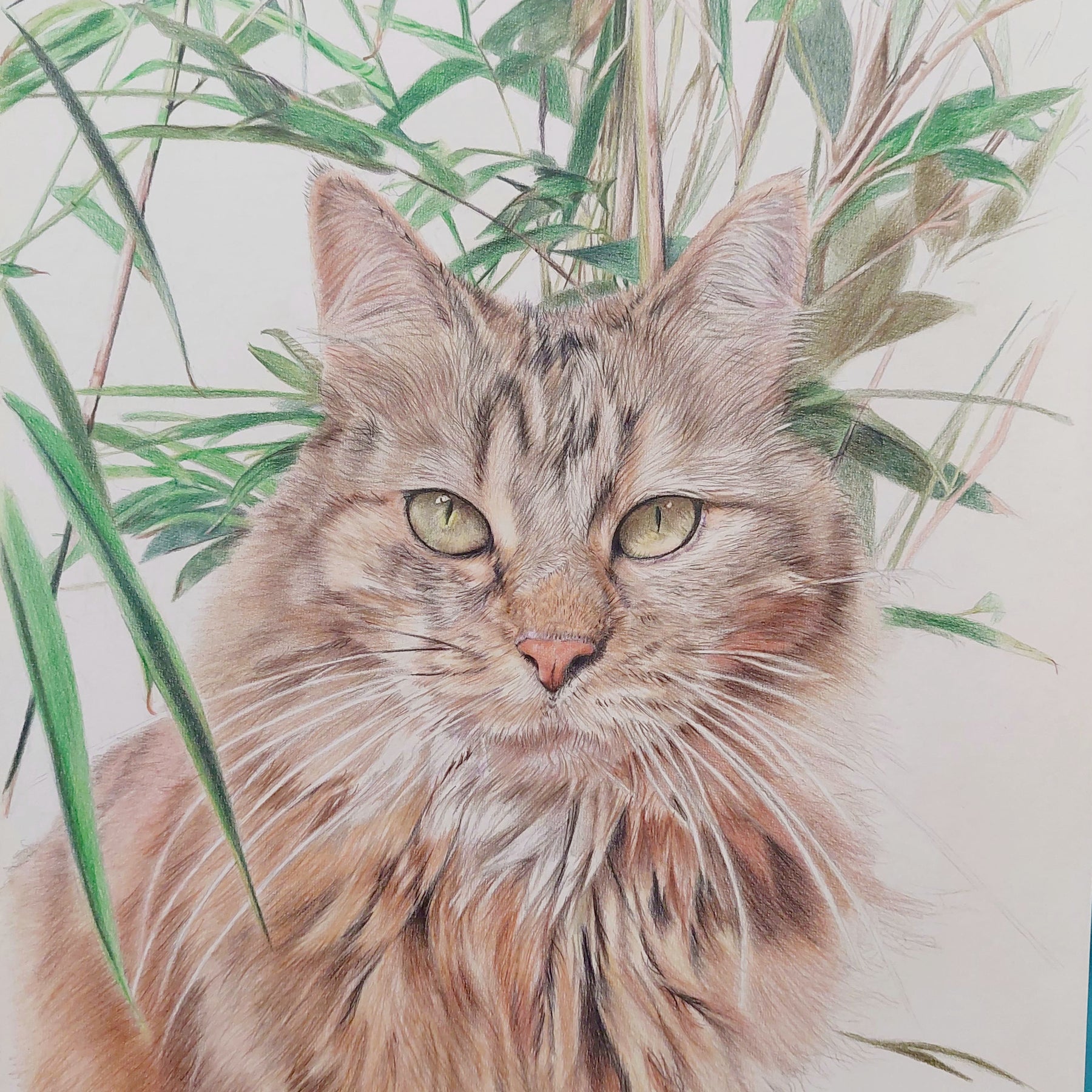 Pet Portrait Gift Certificate - Great Gift Idea