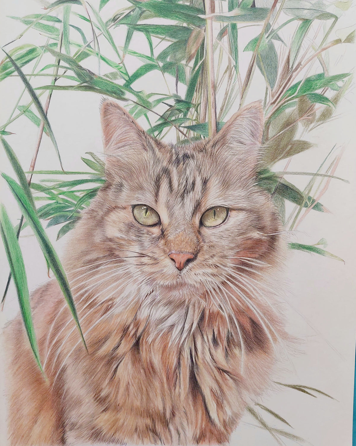 Pet Portrait Gift Certificate - Great Gift Idea