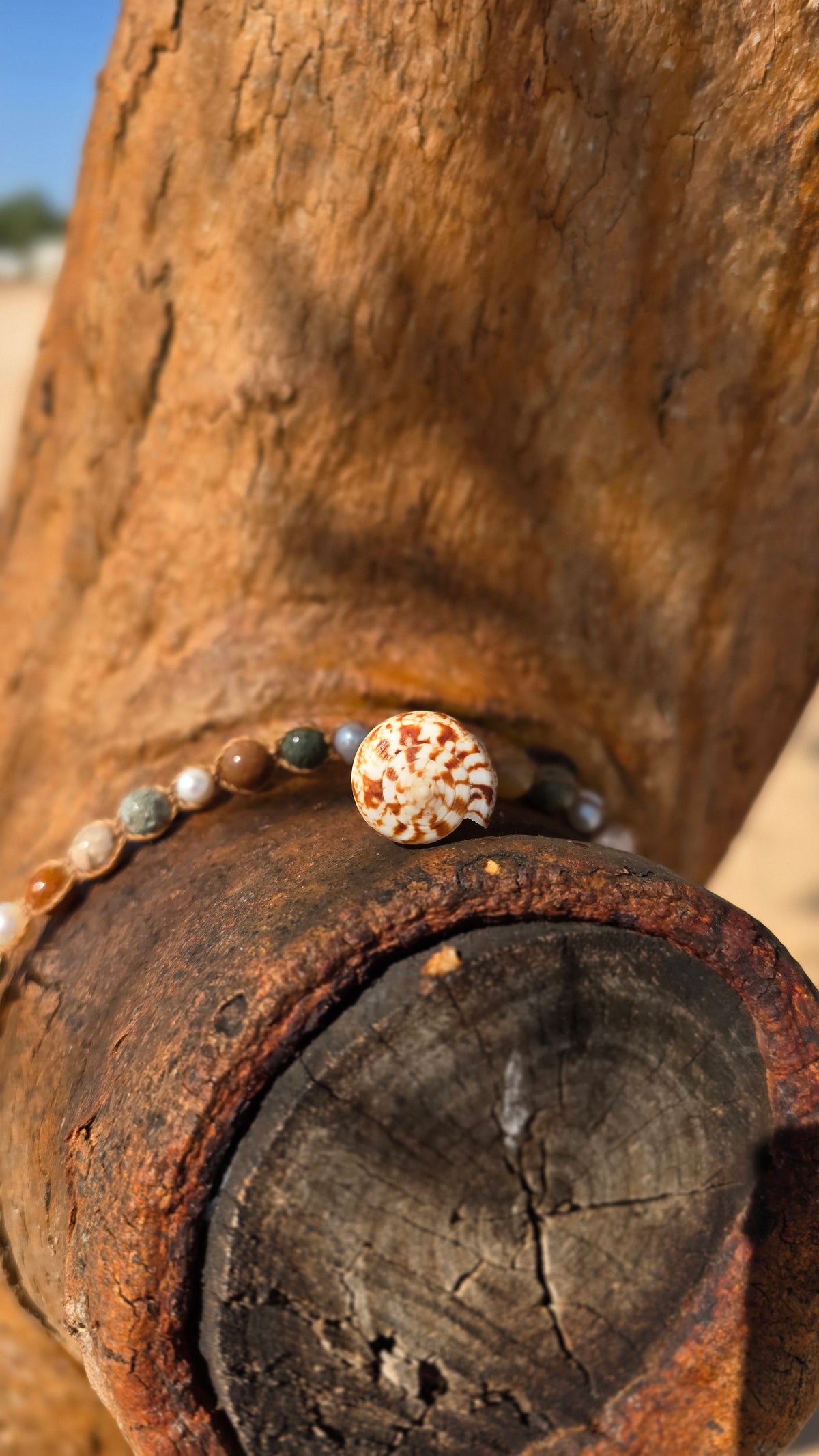Cone Shell with Rare Ocean Agate & Pearl Necklace