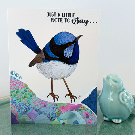 Superb fairy wren 