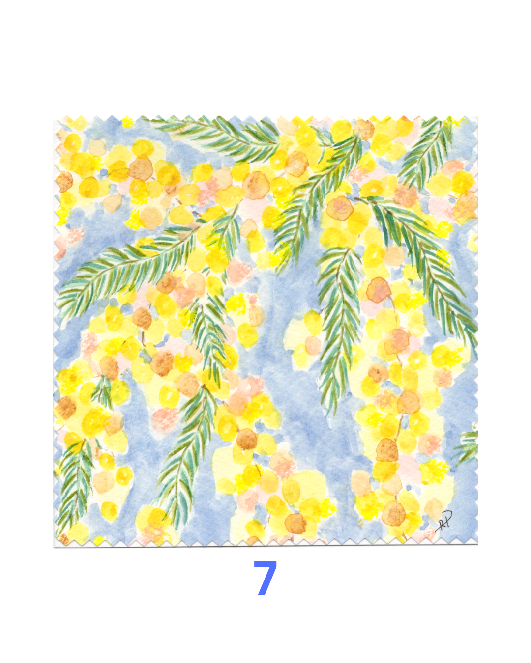 Original Hand-Painted Greeting Cards I Wattle Collection large