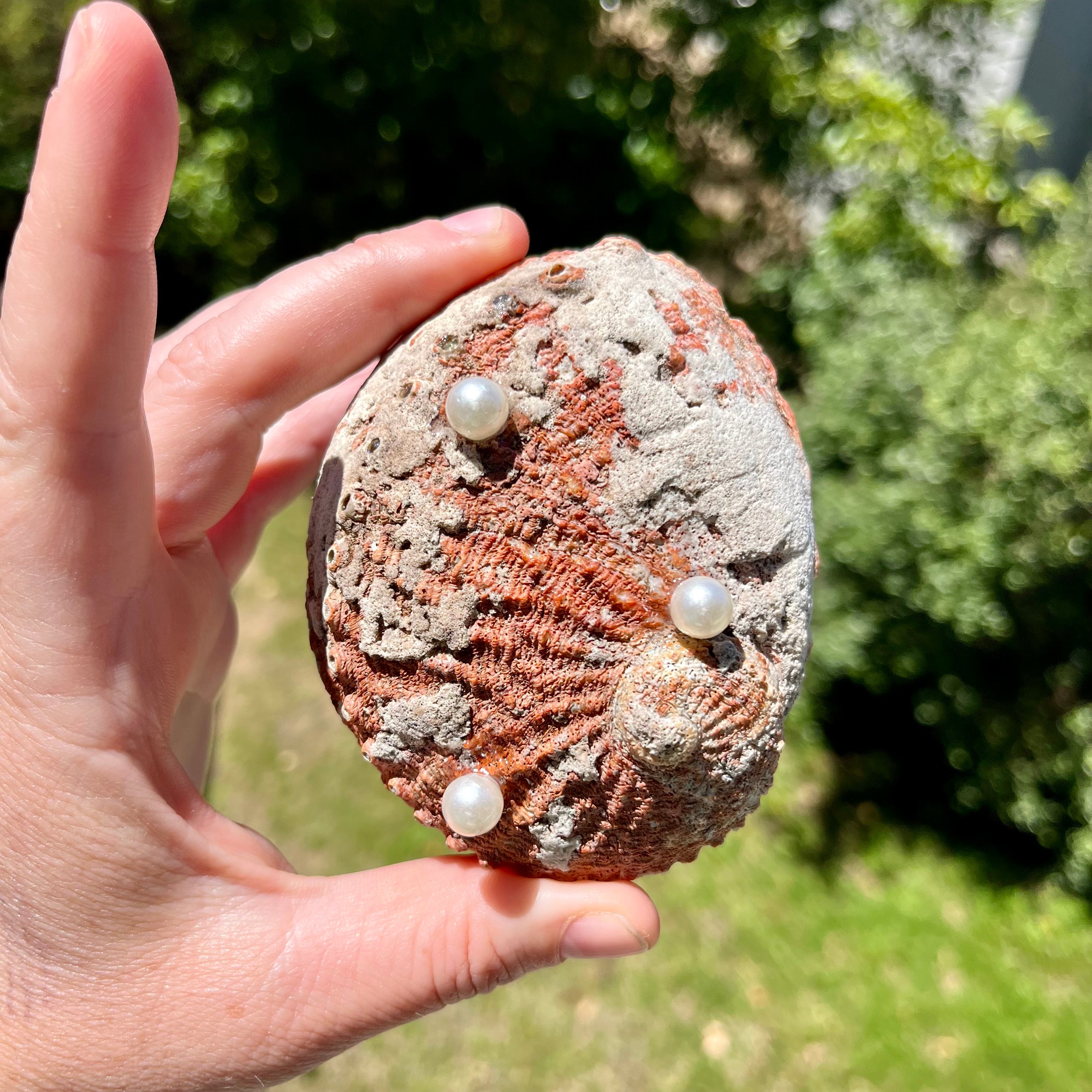 Mermaid Shell Trinket Dish Handmade