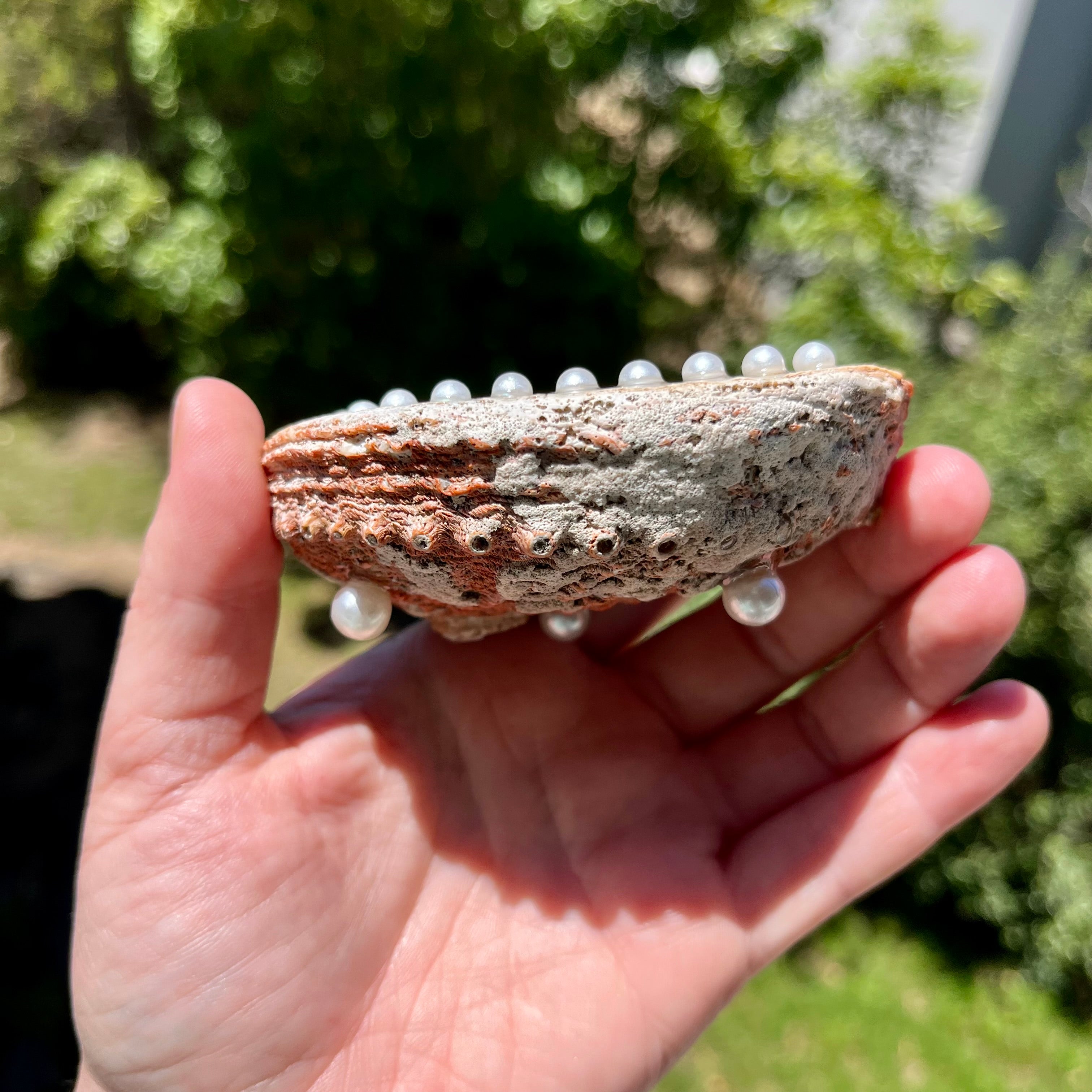 Mermaid Shell Trinket Dish Handmade
