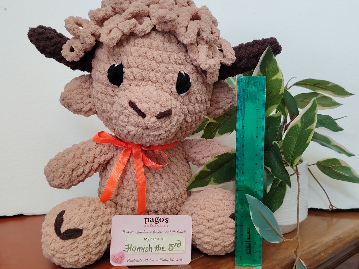 Hamish 3rd Highland Cow