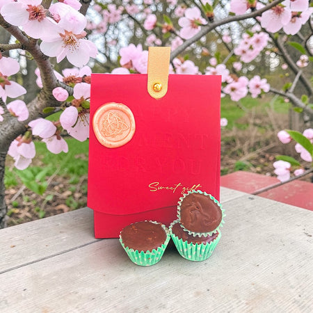 100gm Cranberry, Coconut & Irish Cream Chocolate Fudge Cups