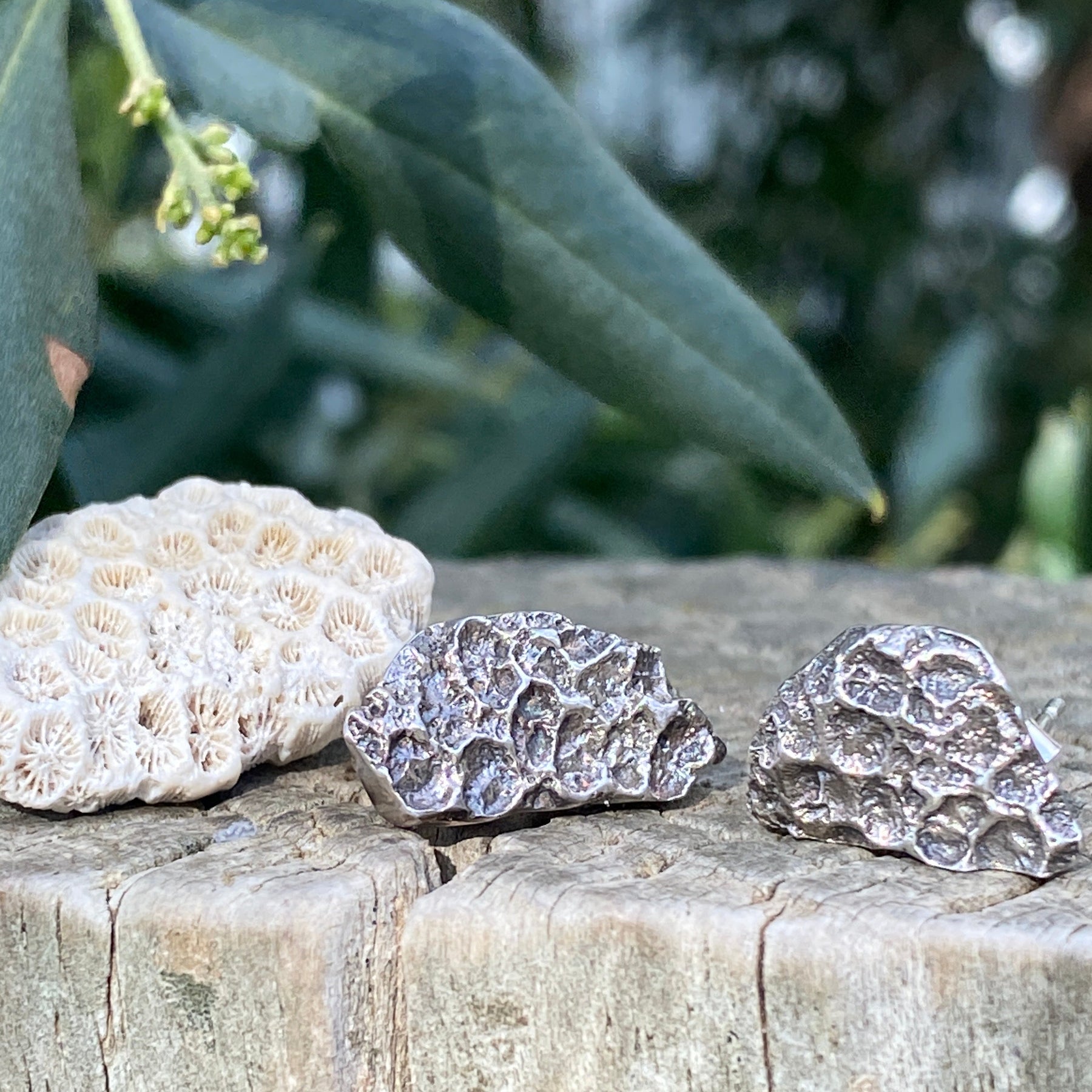 Rockpool Coral Impressions Stud Earrings, Sterling Silver