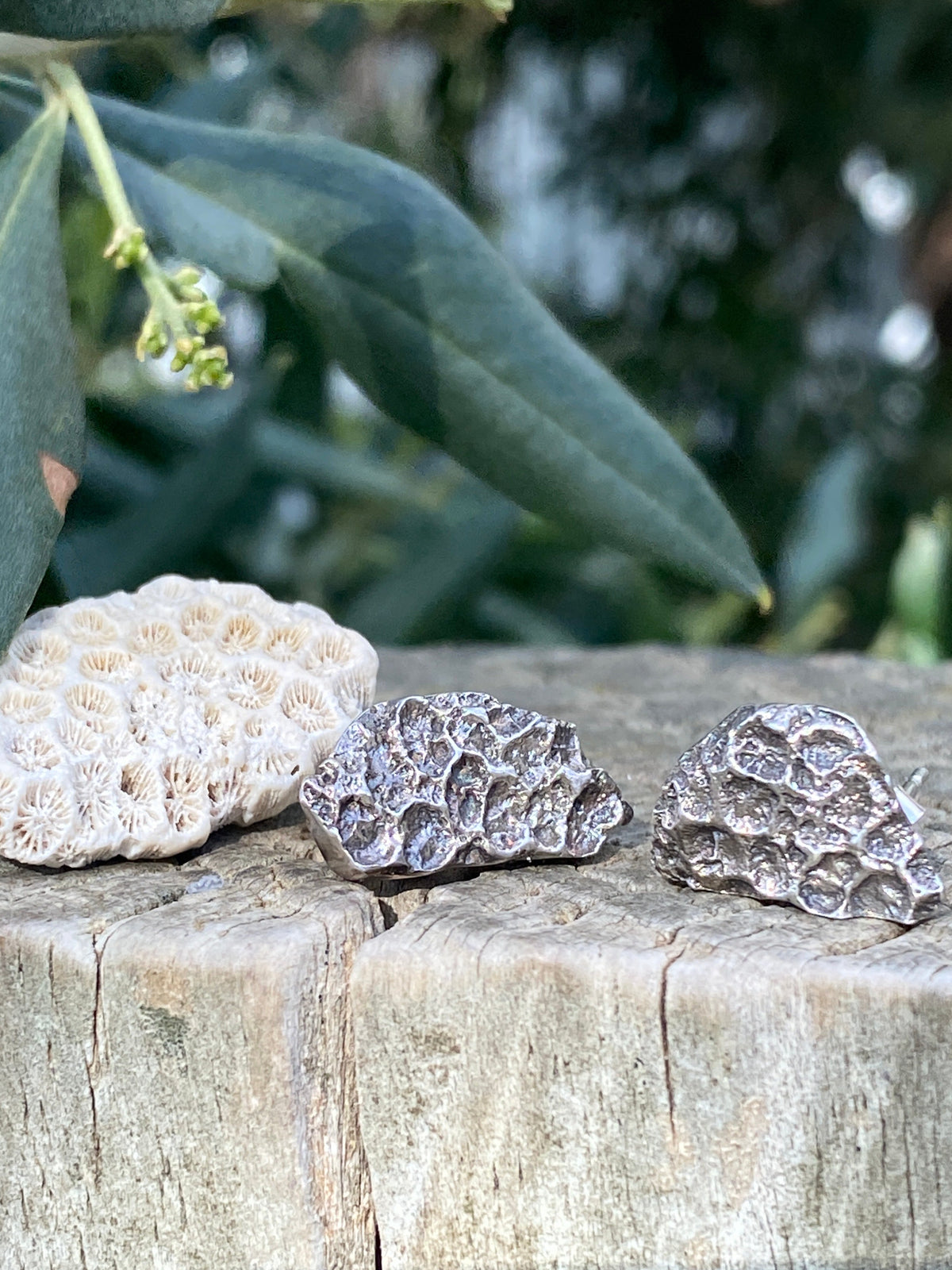 Rockpool Coral Impressions Stud Earrings, Sterling Silver