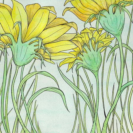 ACEO 