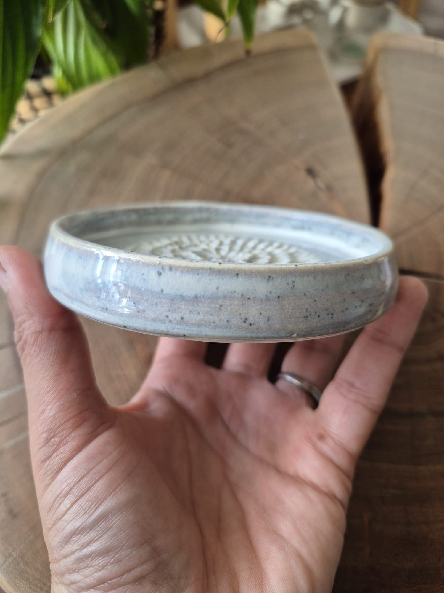 Ceramic Grater with Cleaning Brush