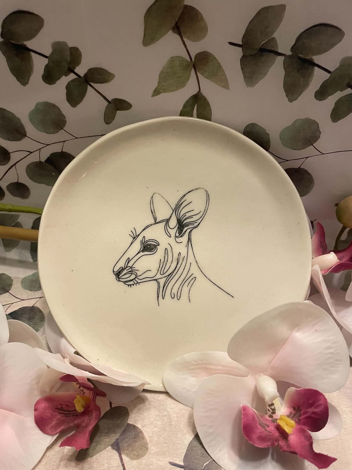 Kangaroo plate