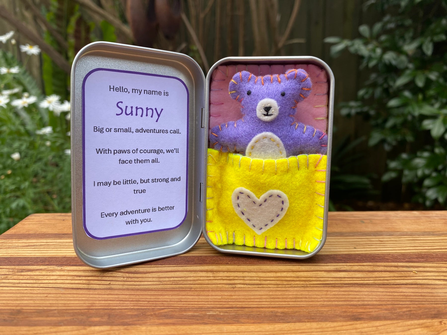Teddy in a tin - Sunny #1