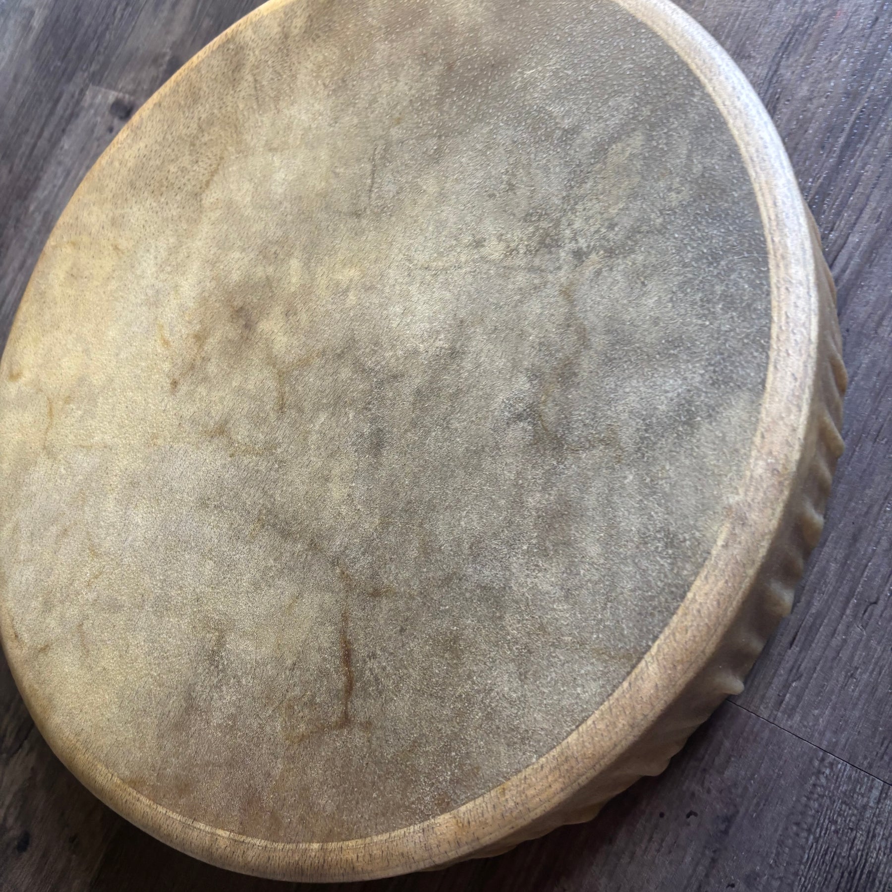 Spirit In her Hide - Medicine Drum 16”