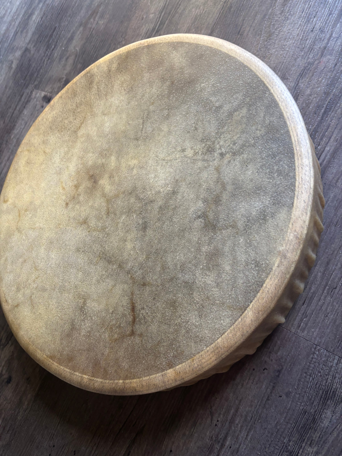 Spirit In her Hide - Medicine Drum 16”
