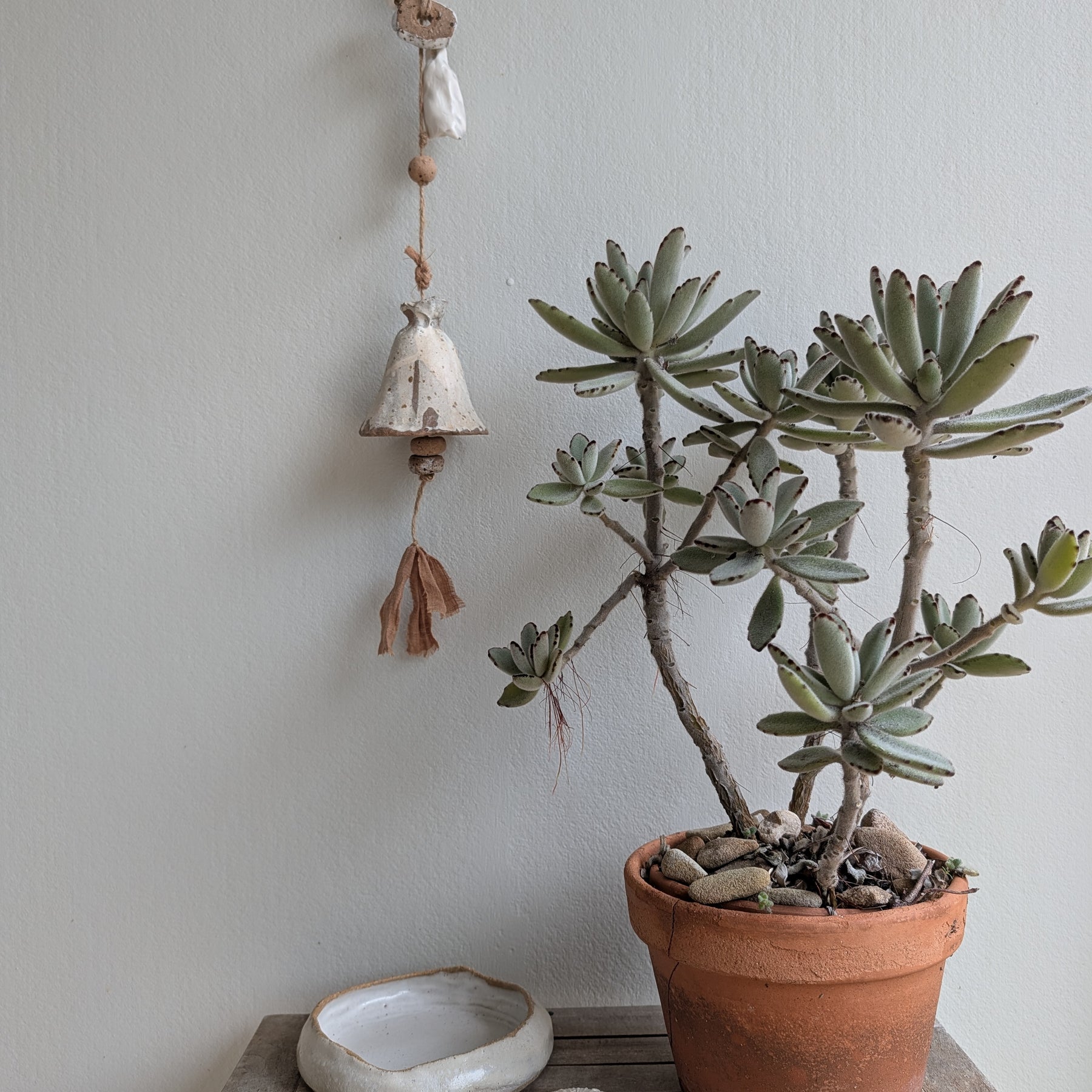 Handmade Ceramic Bells | Earthy • Grounded • Intentional