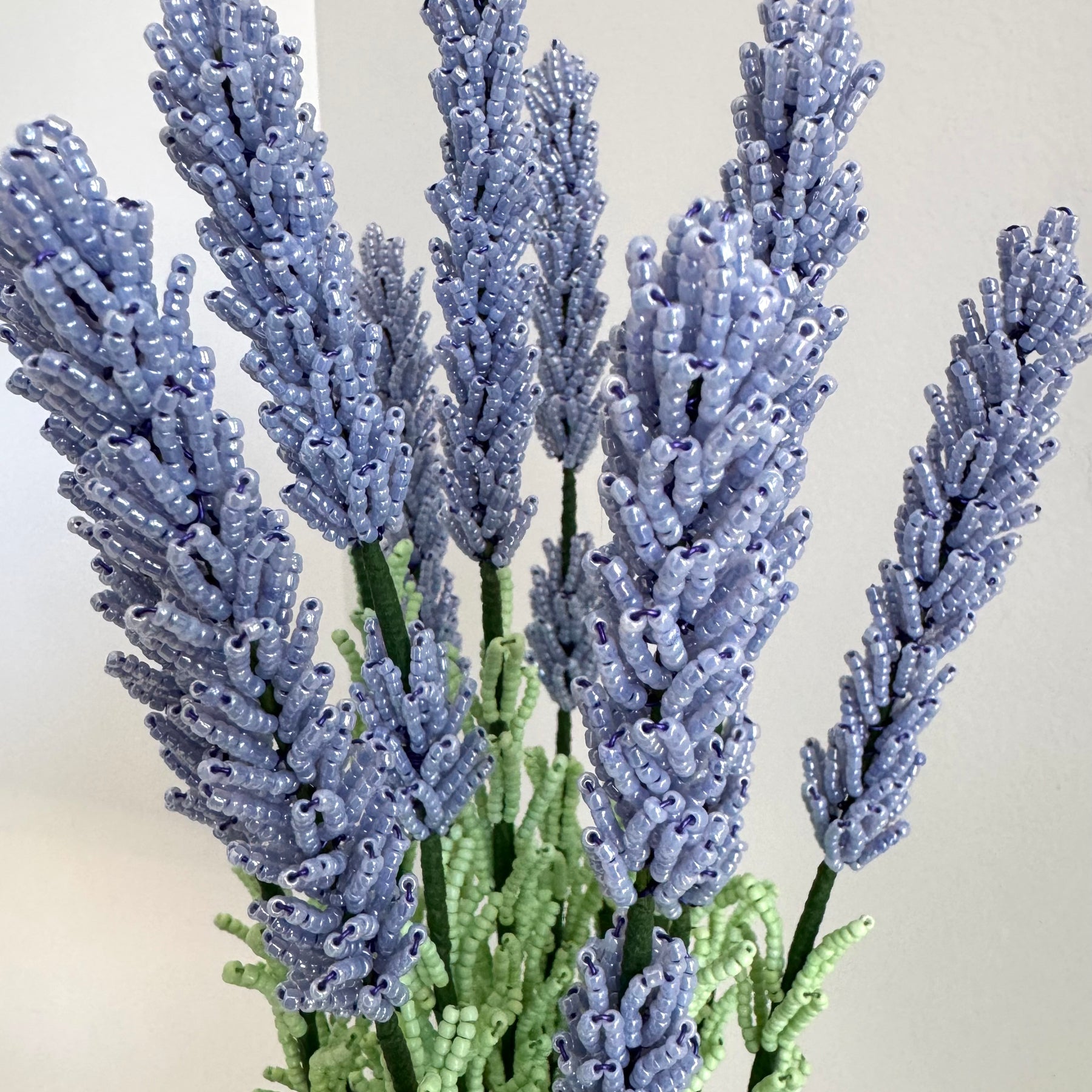 French-beaded potted lavender