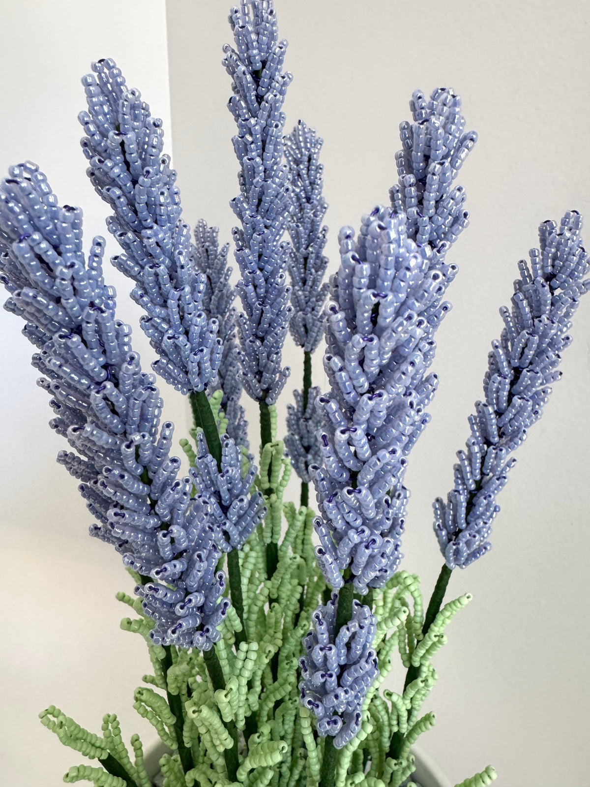 French-beaded potted lavender