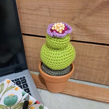 Crochet cactus/ in a terracotta pot/ purple beaded flower