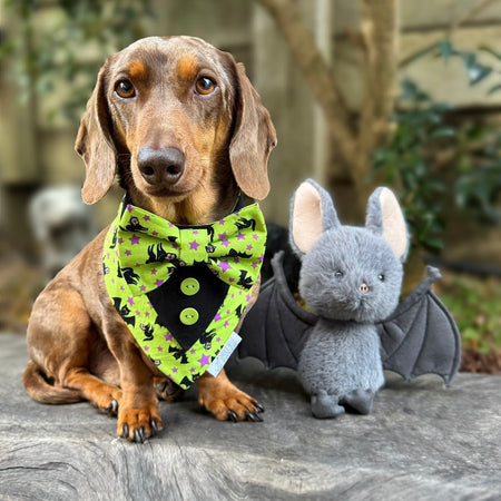 Dog Shirt Tuxedo Bandana