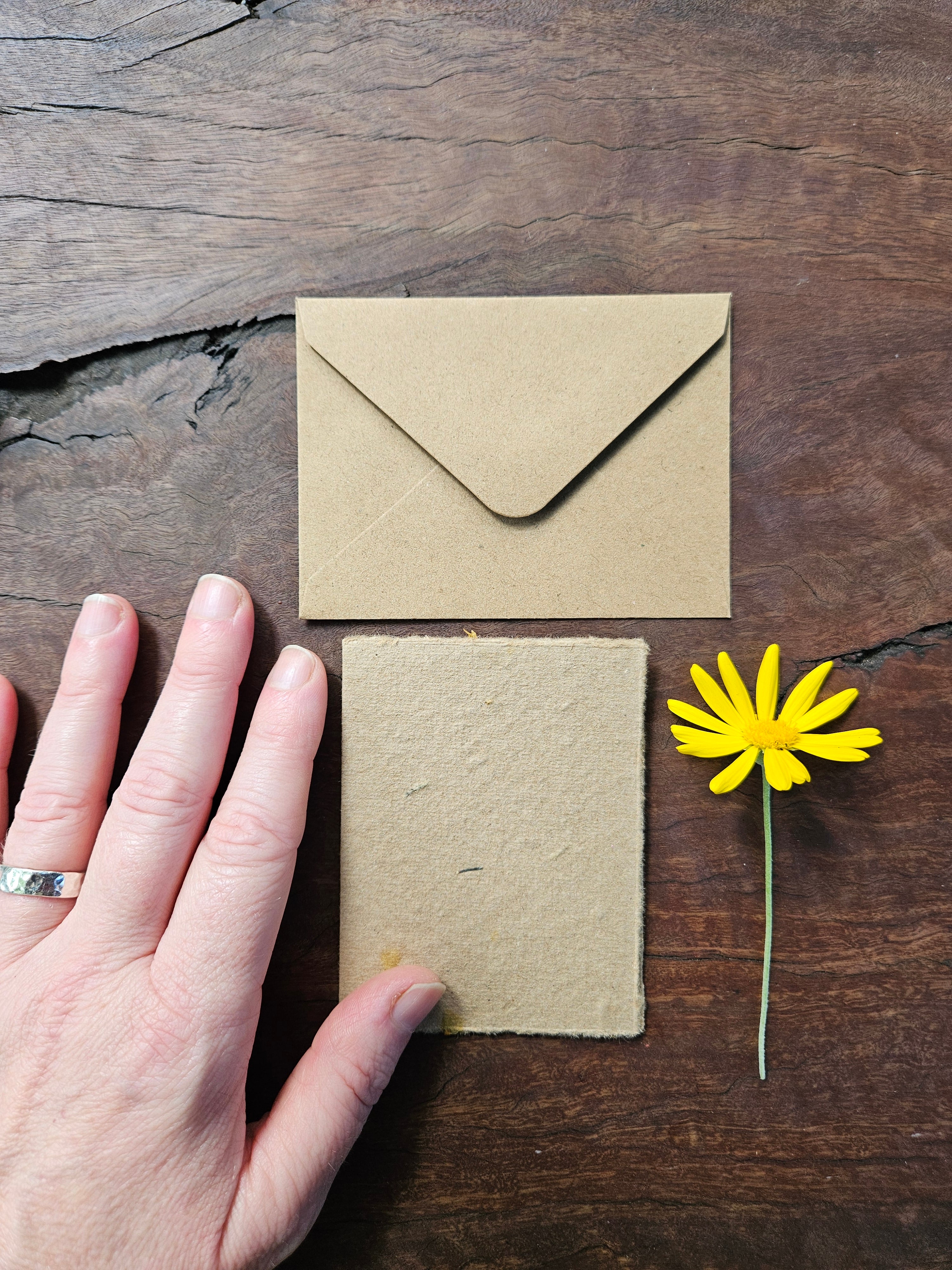 Seeded Plantable handmade paper gift cards- set of 4