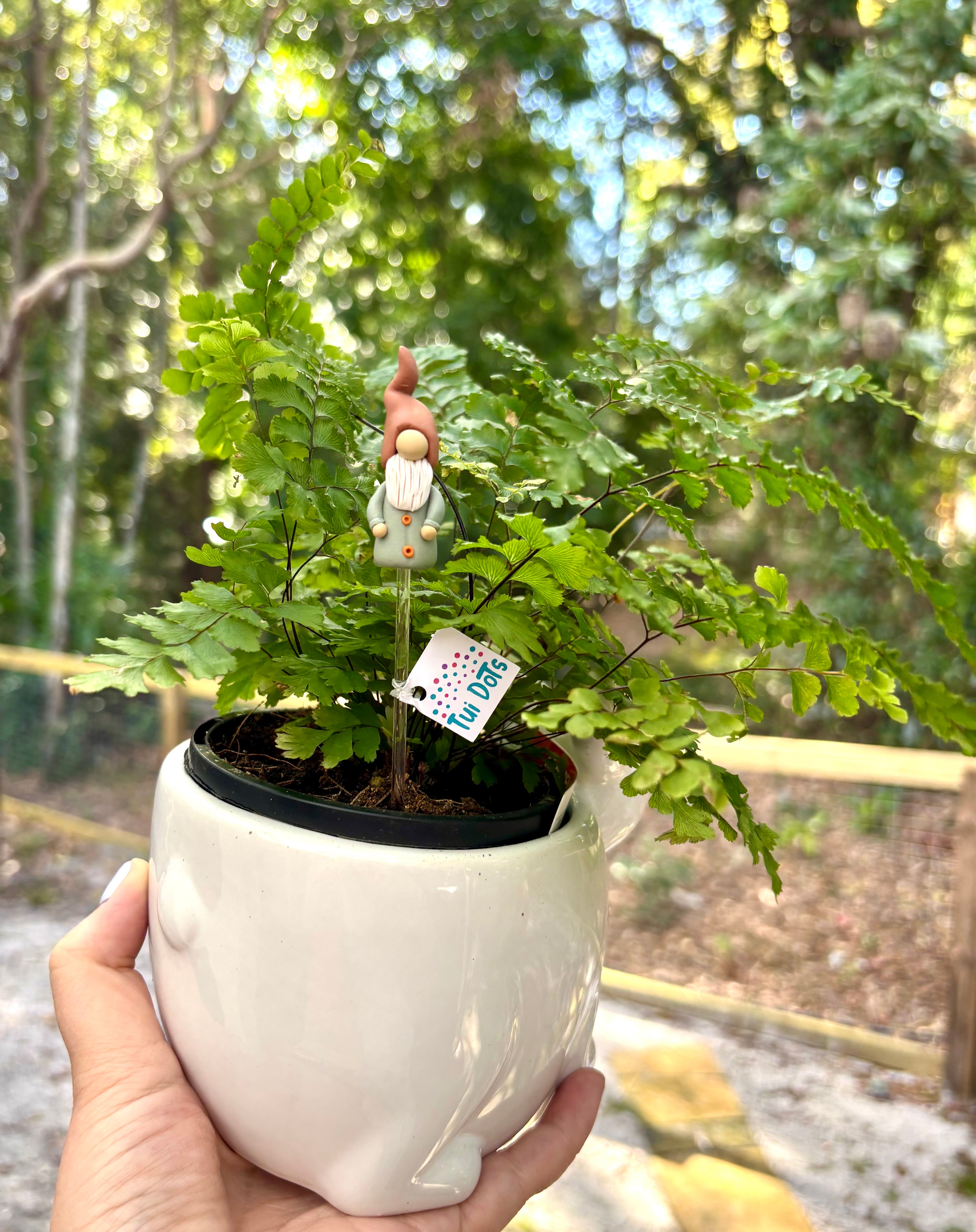 Lucky Little Gnomes Trio