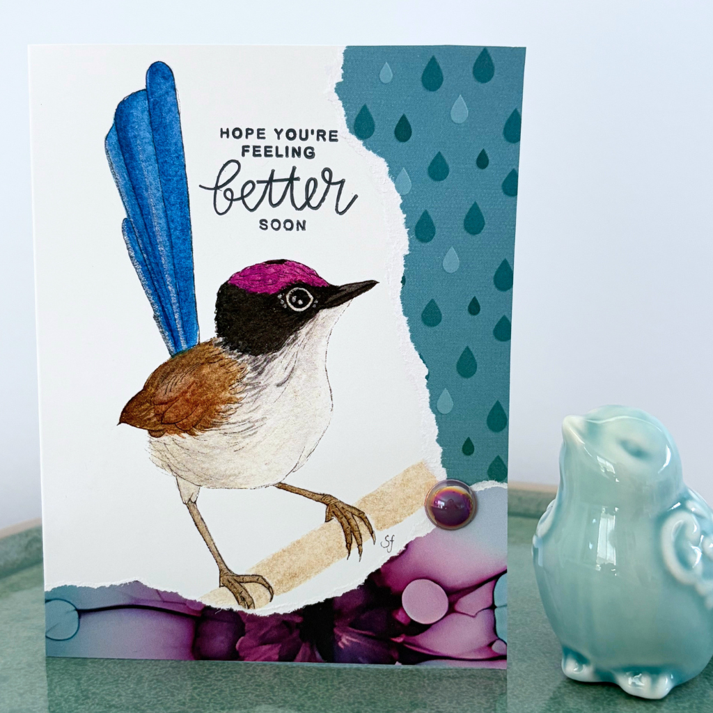 Purple crowned wren "Hope you're feel better soon" card