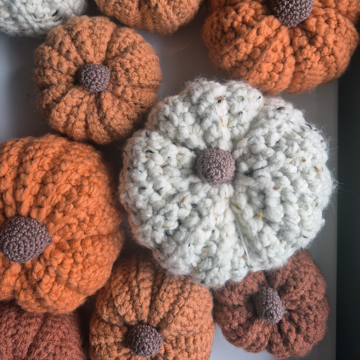 PUMPKIN MAGIC | Tangarine