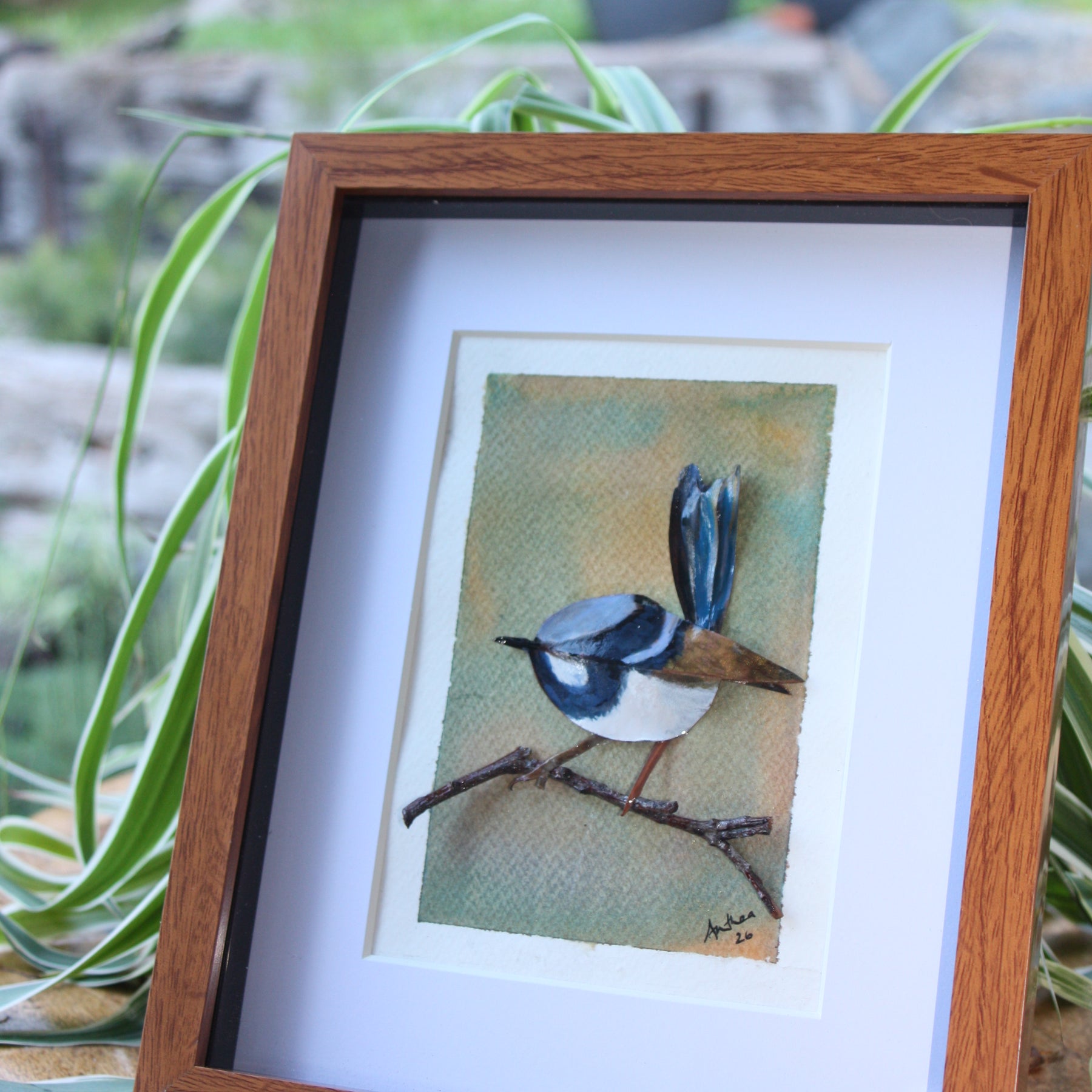 Reserved For Lynne x Male Fairy Blue Wren Original Artwork