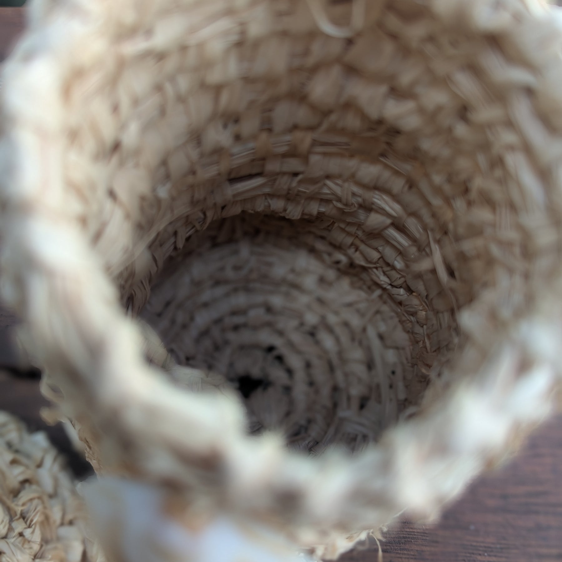 Basket Sea Shell Natural Raffia Dilly Bags