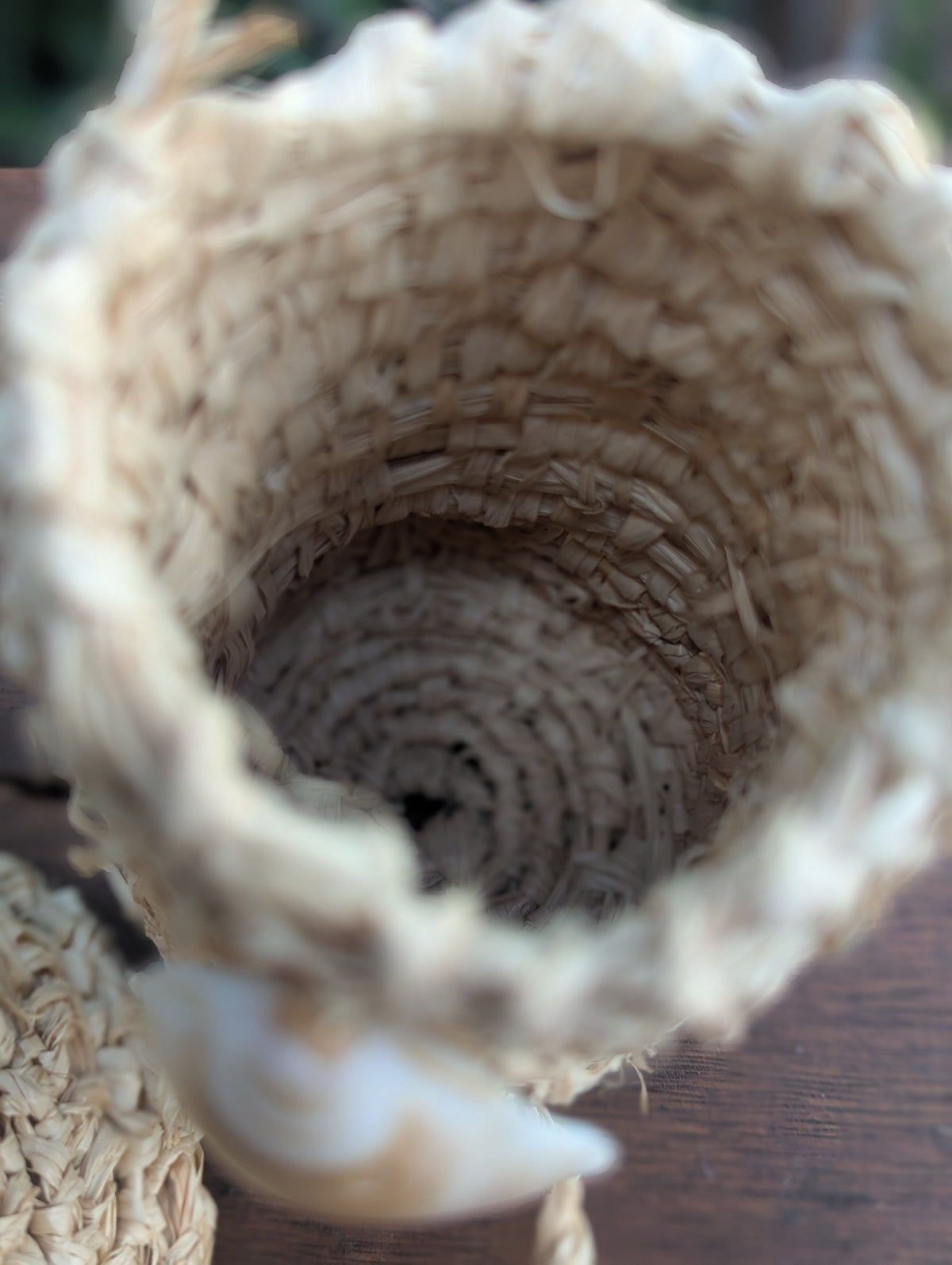 Basket Sea Shell Natural Raffia Dilly Bags