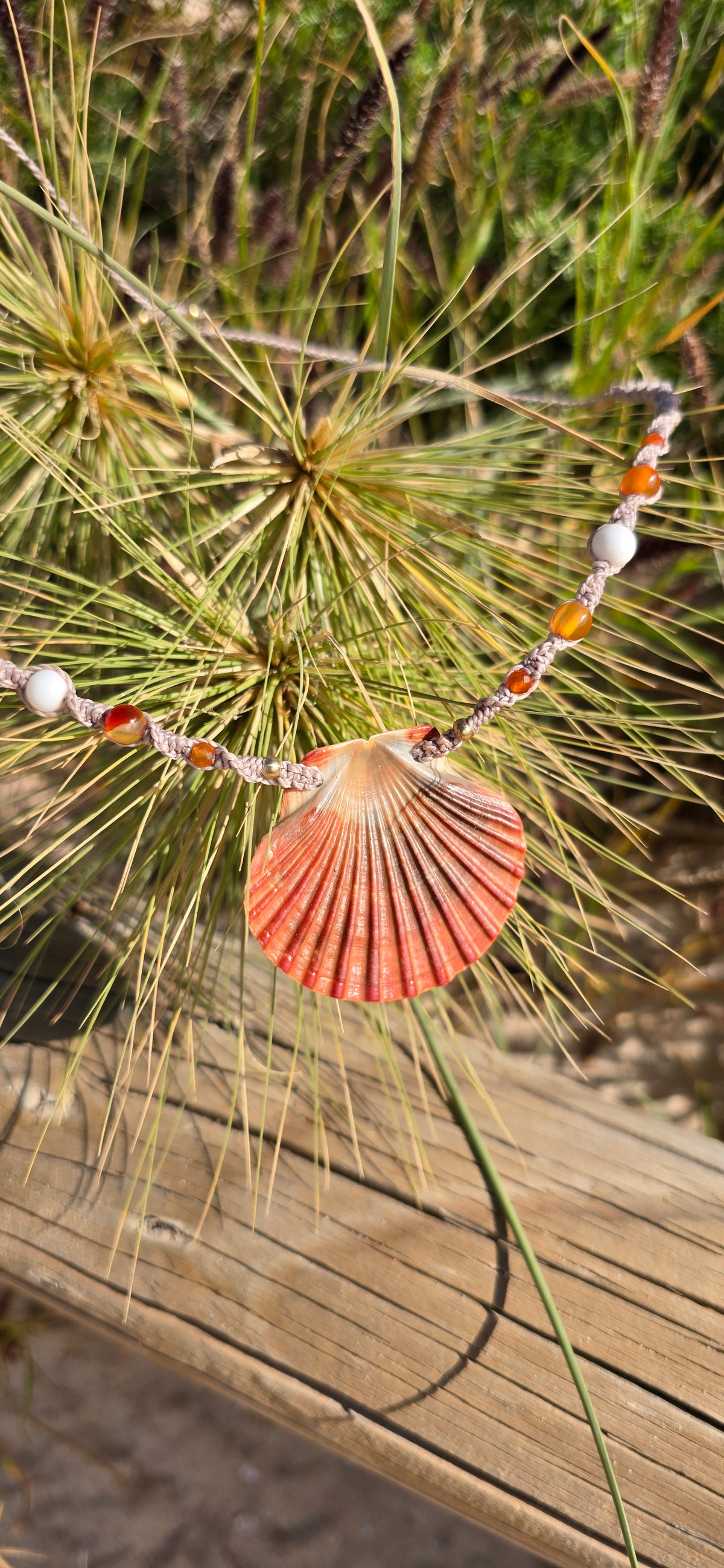 Scallop Shell Necklace with Carnelian & Shell Beads