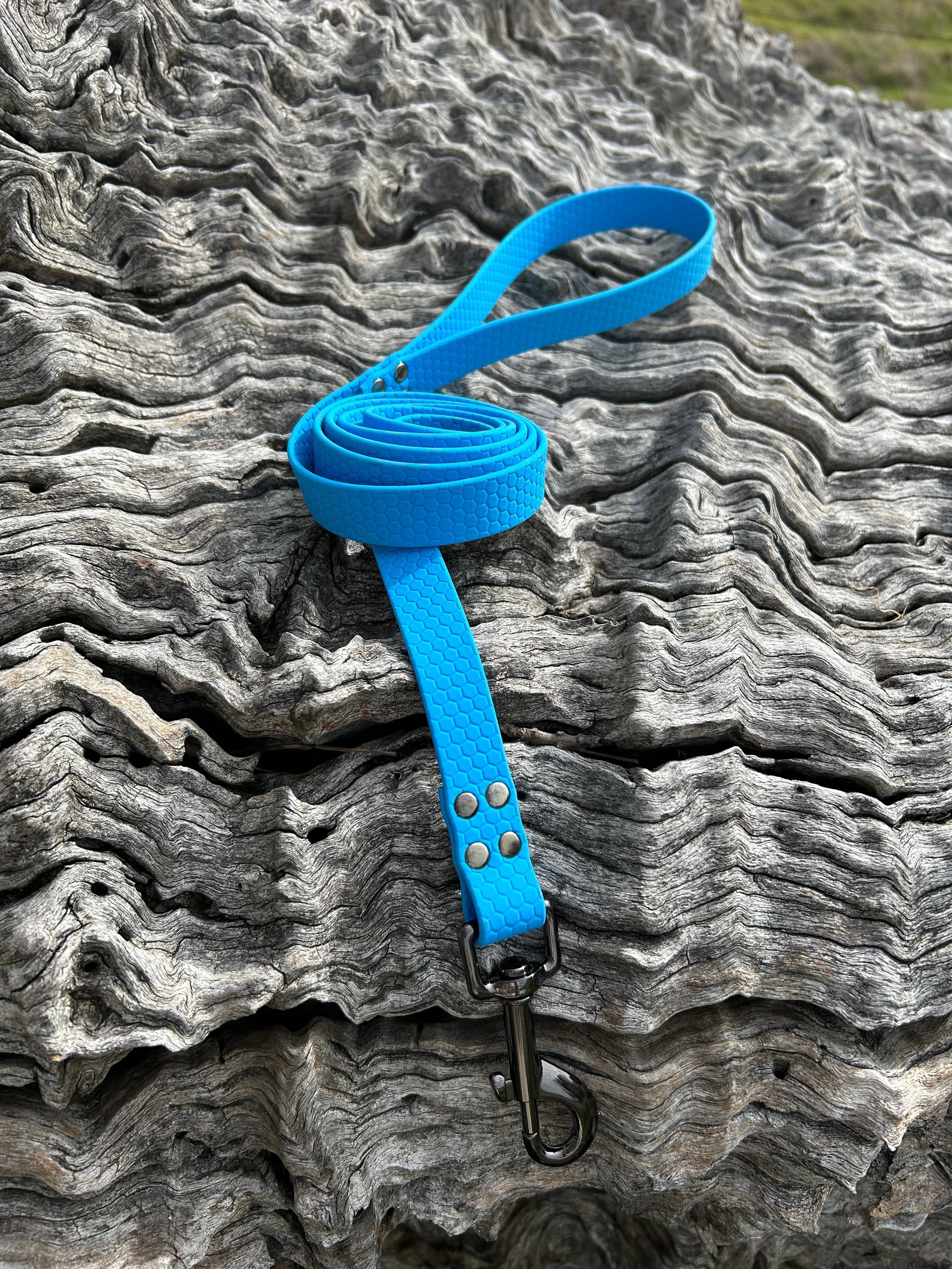 DOG LEAD LEASH WATERPROOF STRONG BRIGHT DURABLE