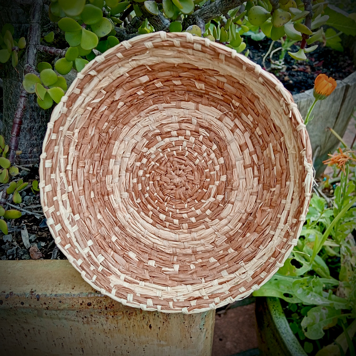Woven hand dyed raffia basket