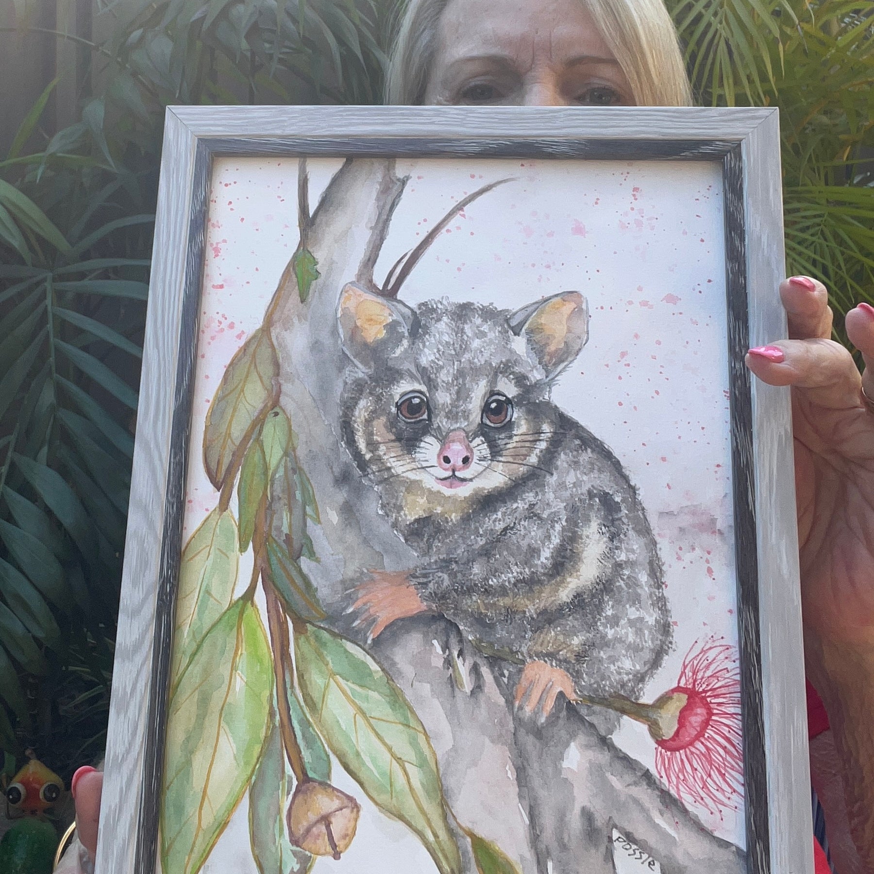 The curious possum