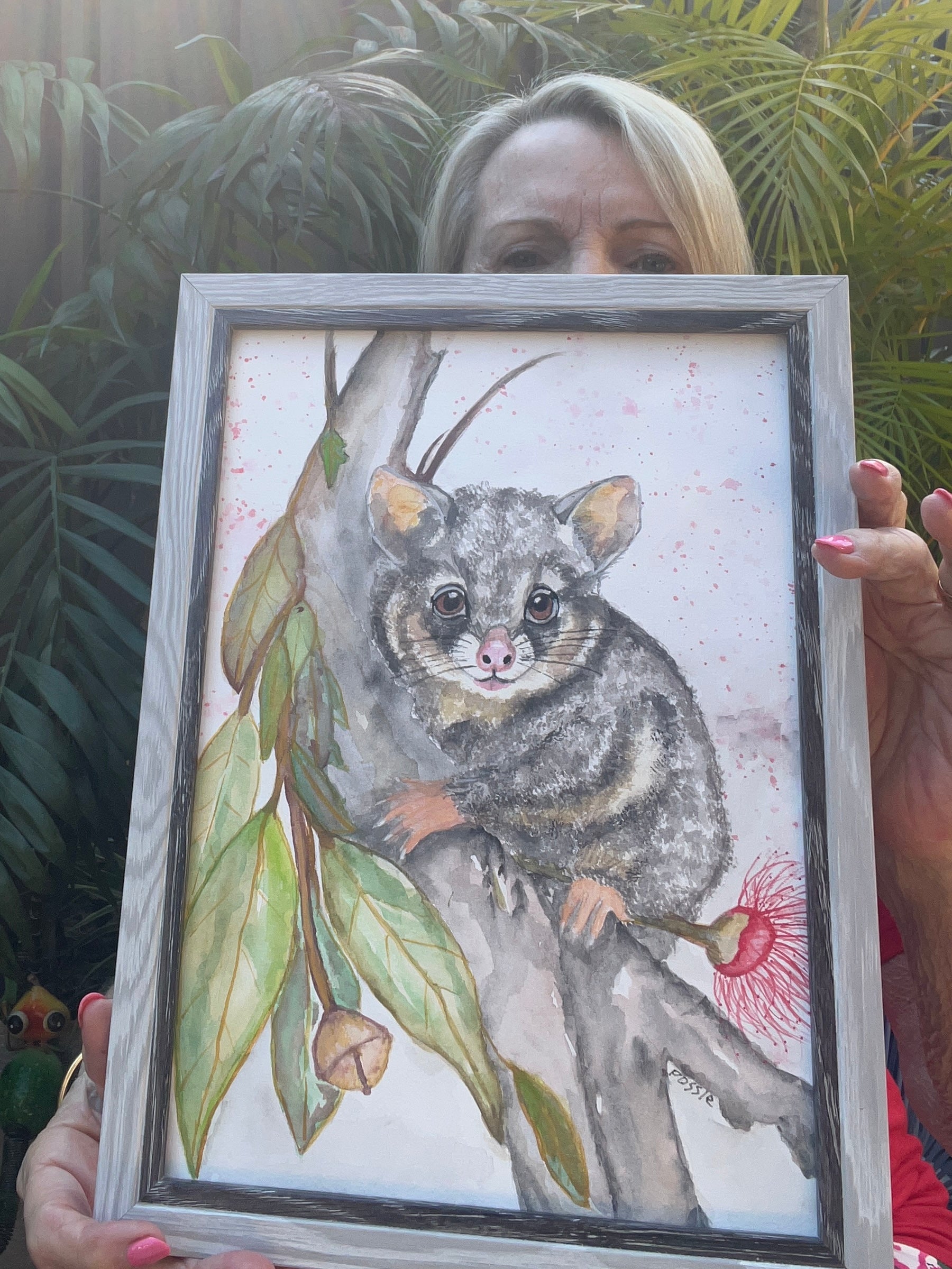 The curious possum