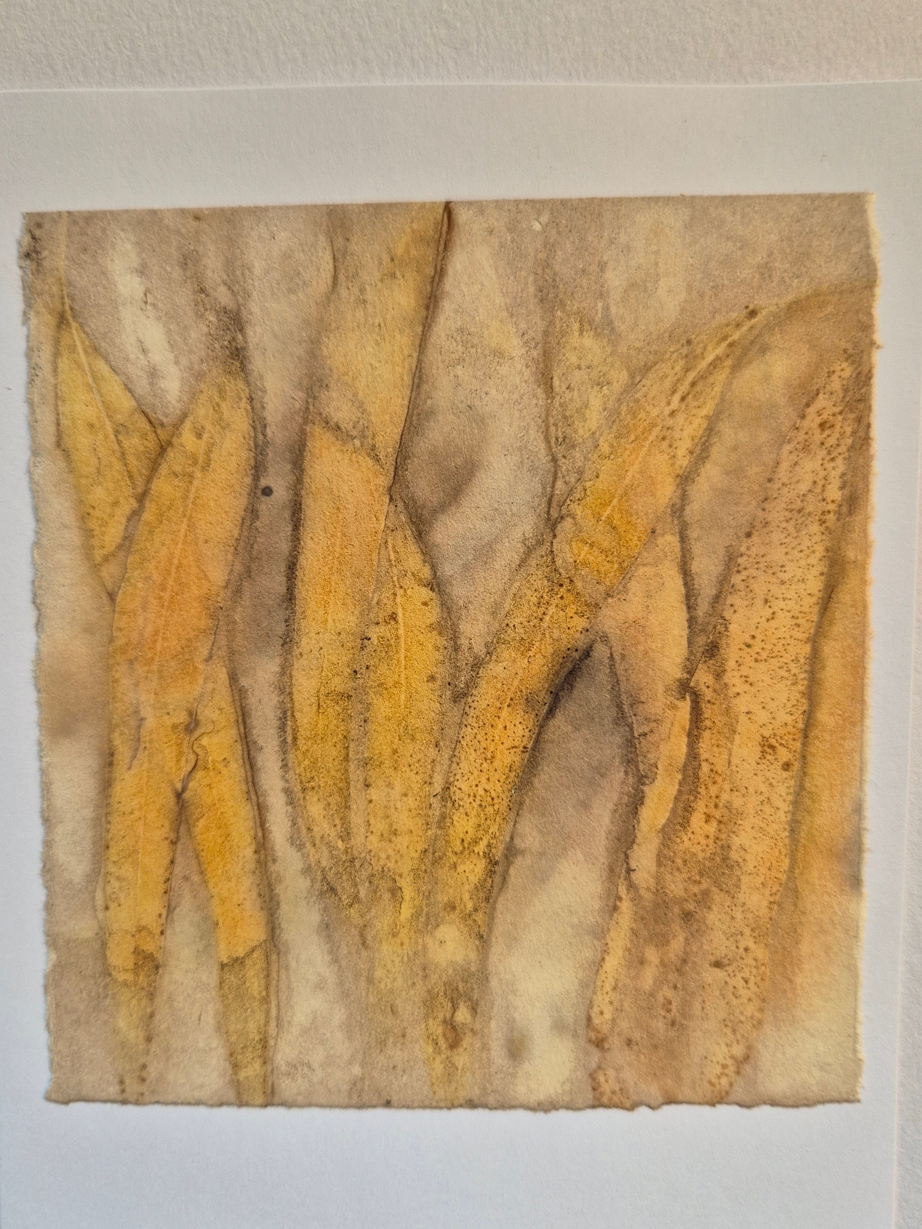 Card original ecoprinted eucalyptus leaves