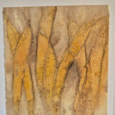 Card original ecoprinted eucalyptus leaves