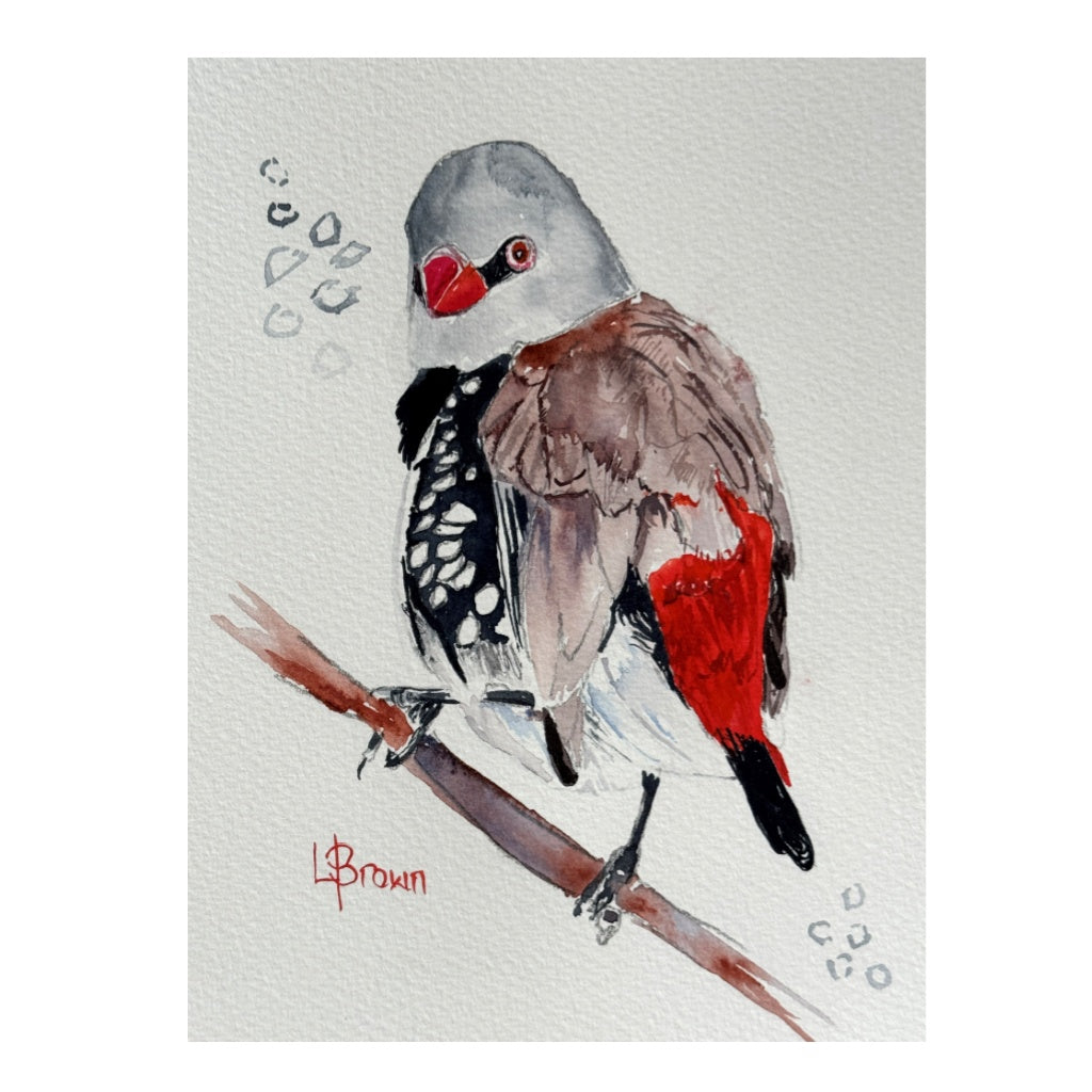 Mini Me #201 Diamond Firetail Original Watercolour Painting
