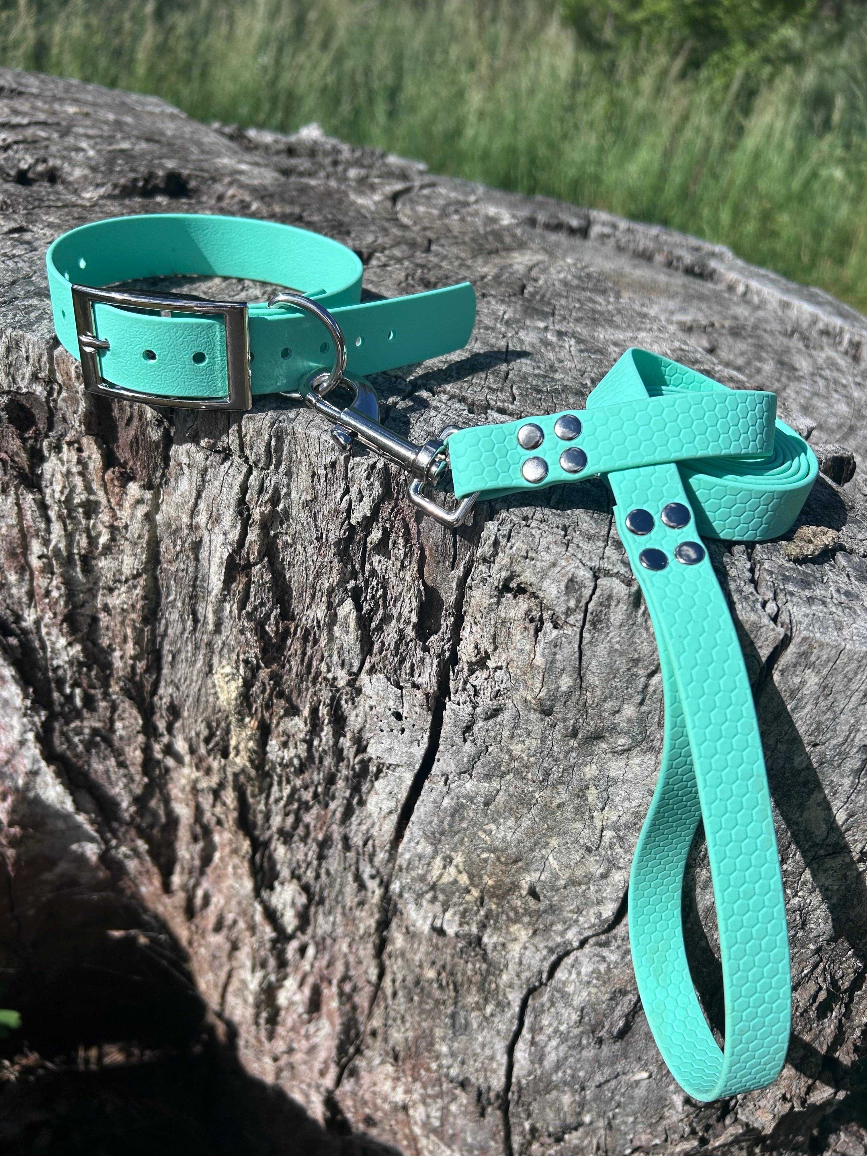 DOG COLLAR AND LEAD SET WATERPROOF BRIGHT STRONG