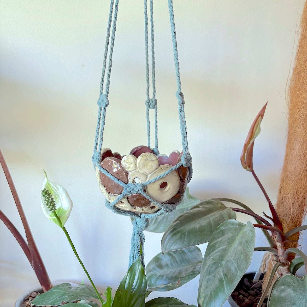 Ceramic dome hanging orchid pot