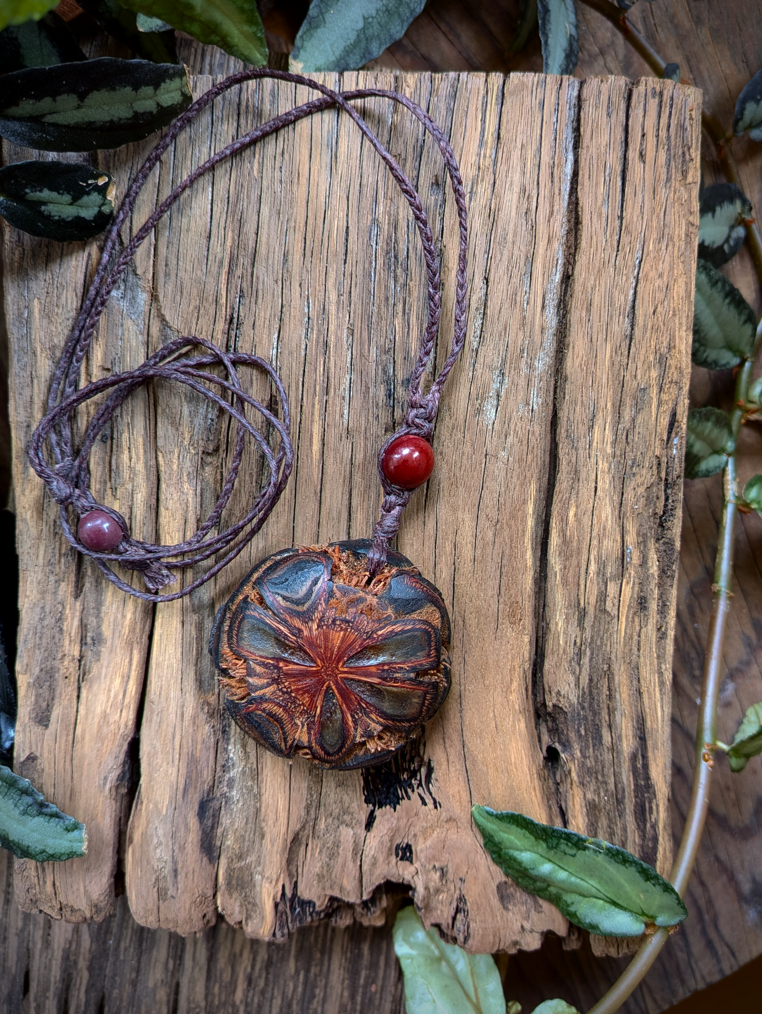 BANSKIA pod slice with MOOKIATE JASPER handmade necklace talisman