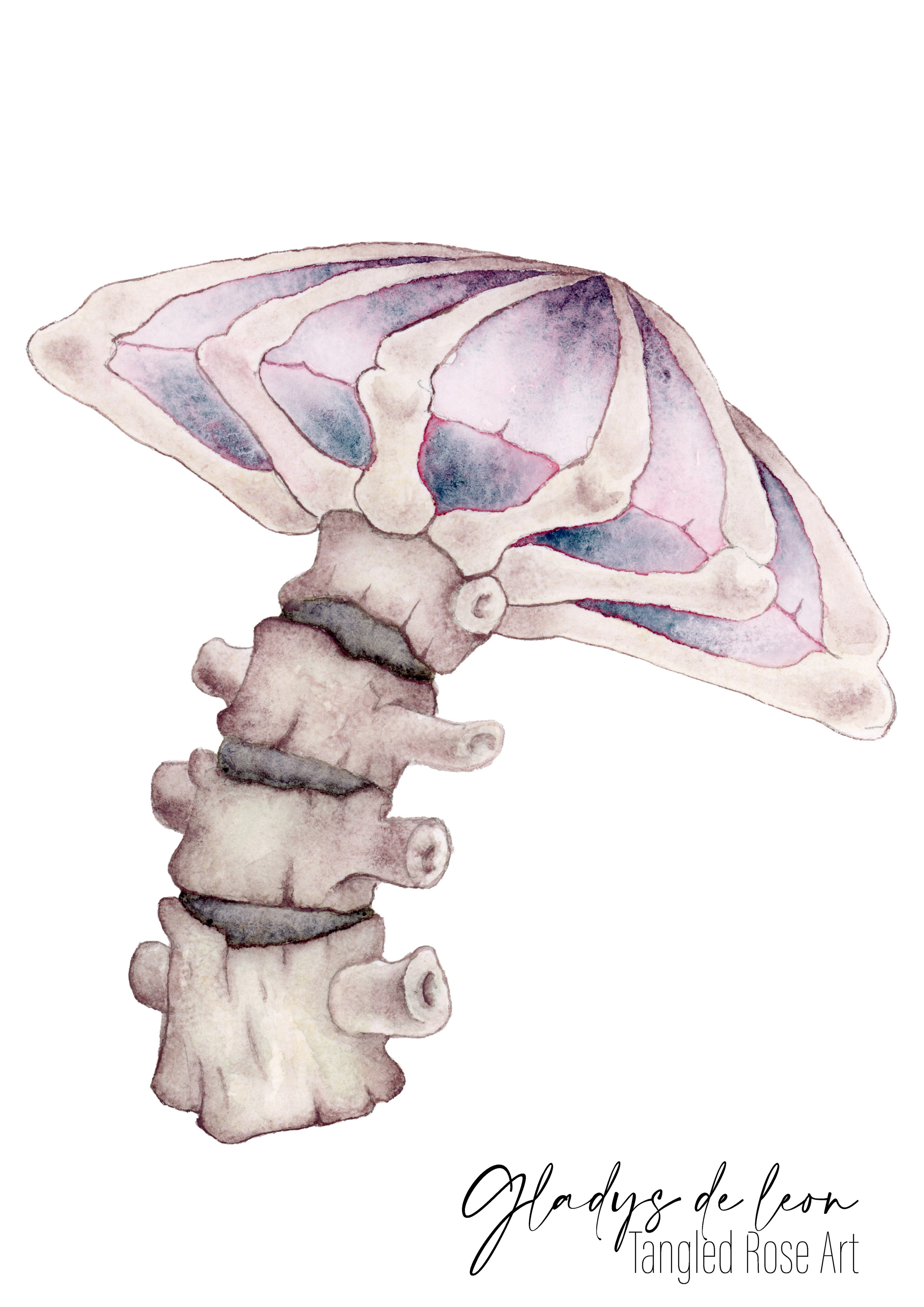 SPINAL MUSHROOM ARCHIVAL PRINTS AND CARD - TANGLED ROSE ART