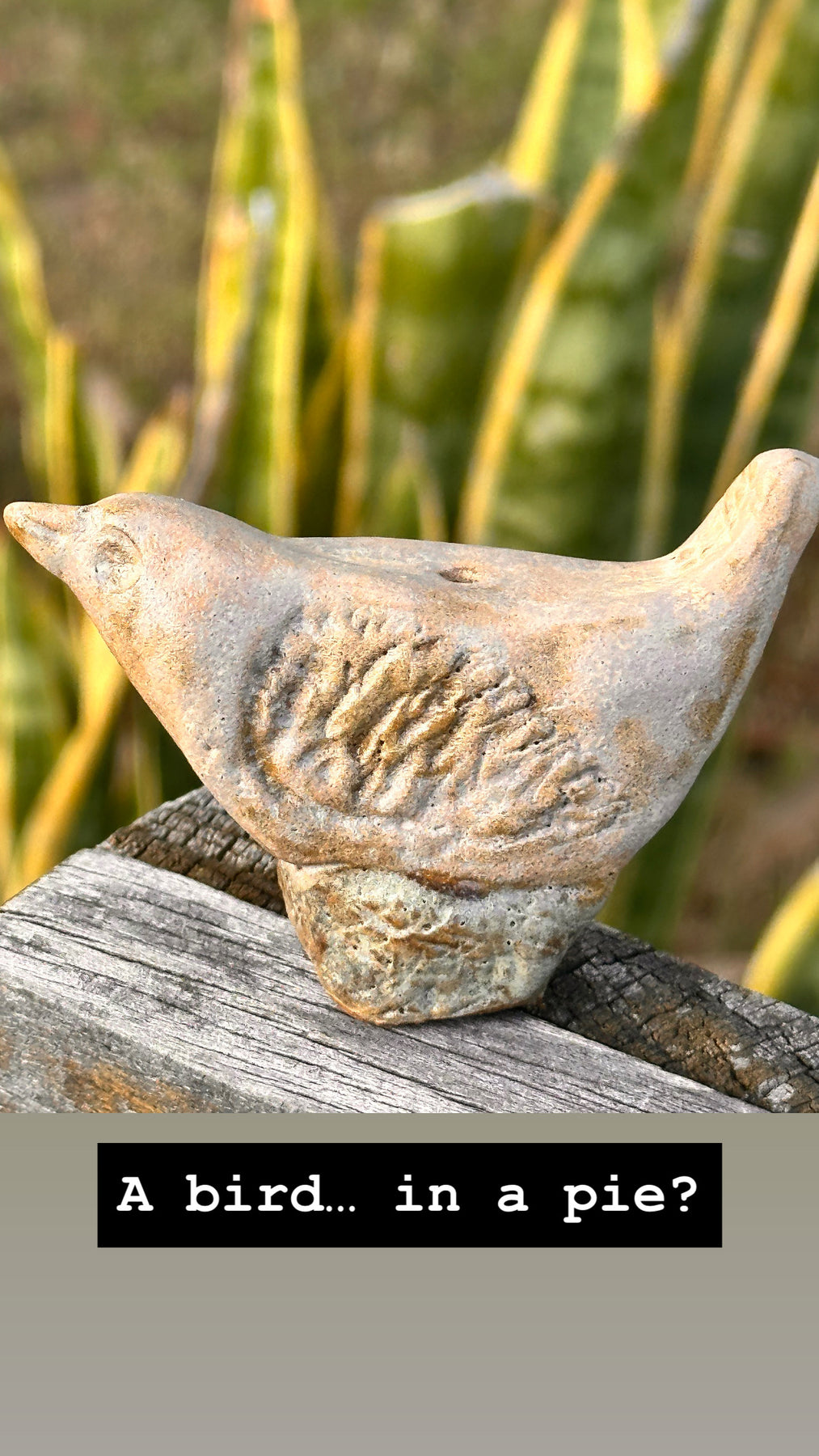 Pie Bird | Handmade Ceramic Cookware | Sealers Cove