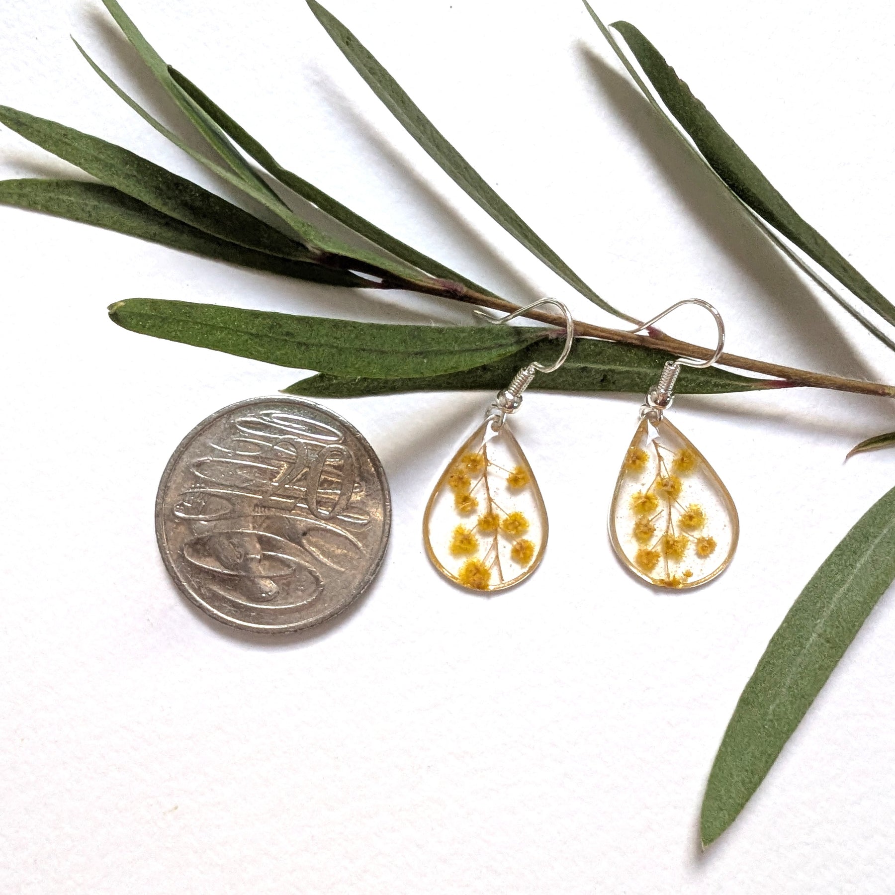 Dainty wattle teardrop Aussie earrings