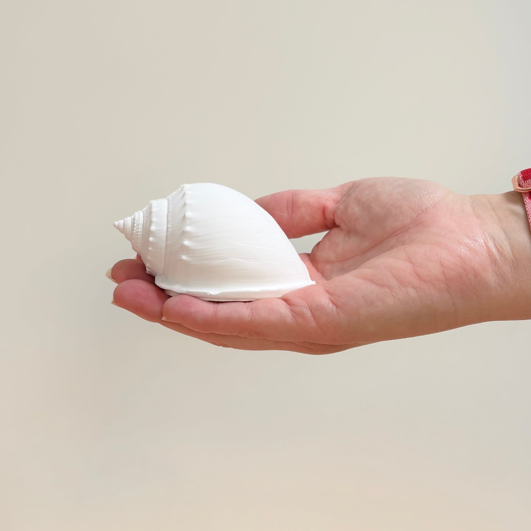 eco resin sea shell photo display